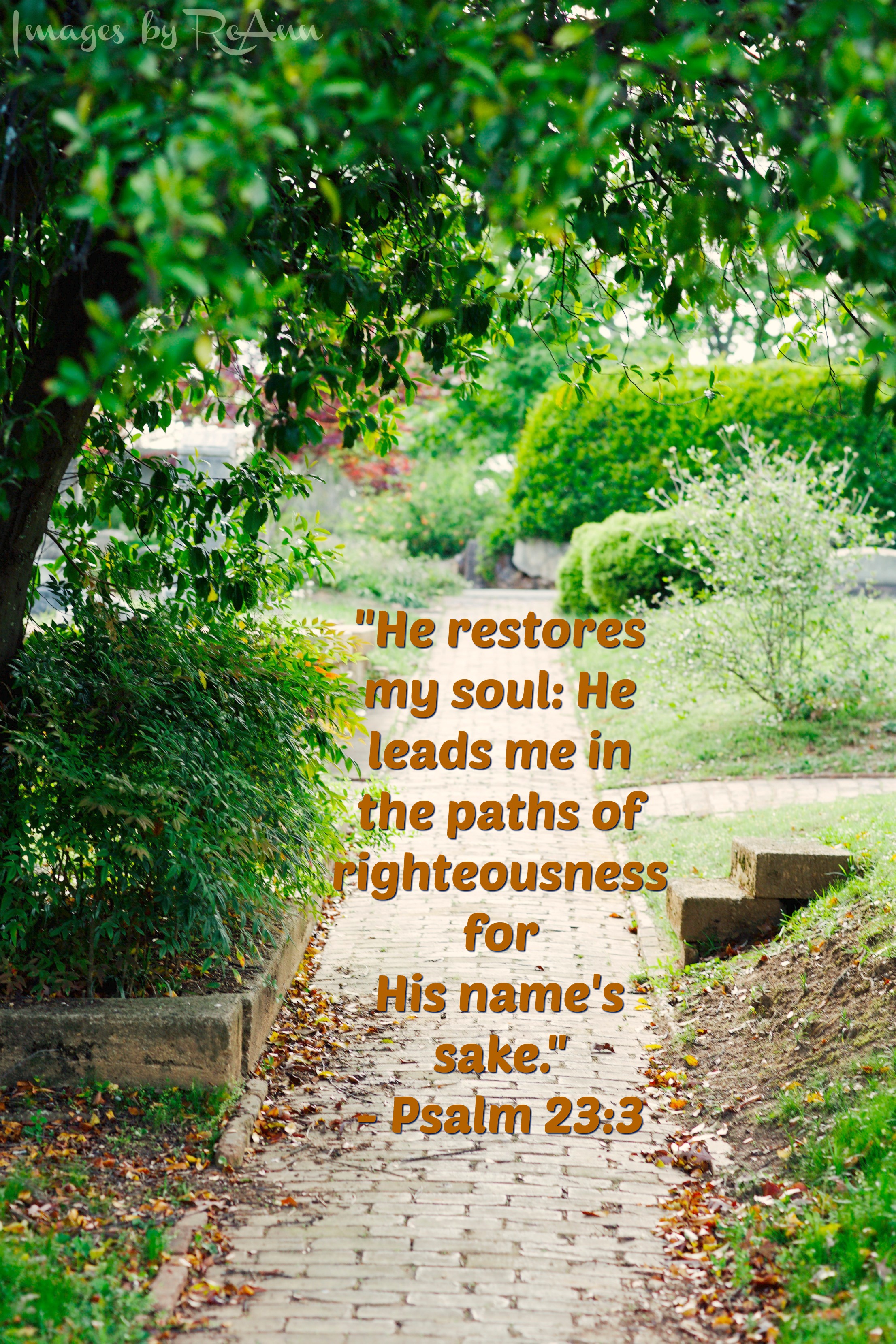 Scripture Picture Psalm 233.jpg