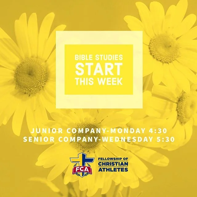 We are so honored to host our friends at @eastalfca beginning this week! 💛
.
Jr. Company will meet on Mondays 4:30-5:30 (Ages 9-12yrs.) Sr. Company will meet on Wednesdays from 5:30-6:30 (Ages 13-18yrs.) in our new Studio!

Questions? Email us! Fron