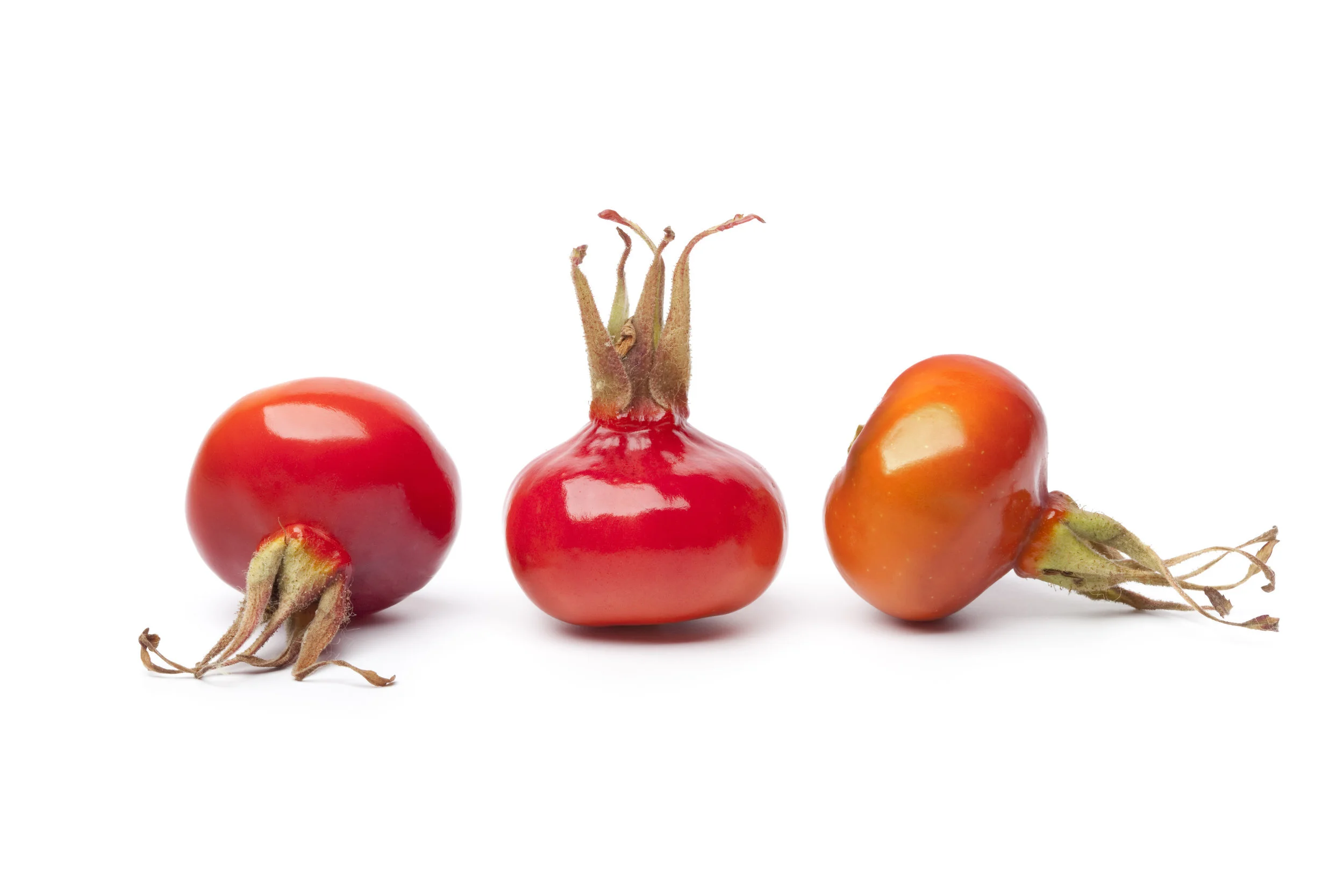 rosehip.jpeg
