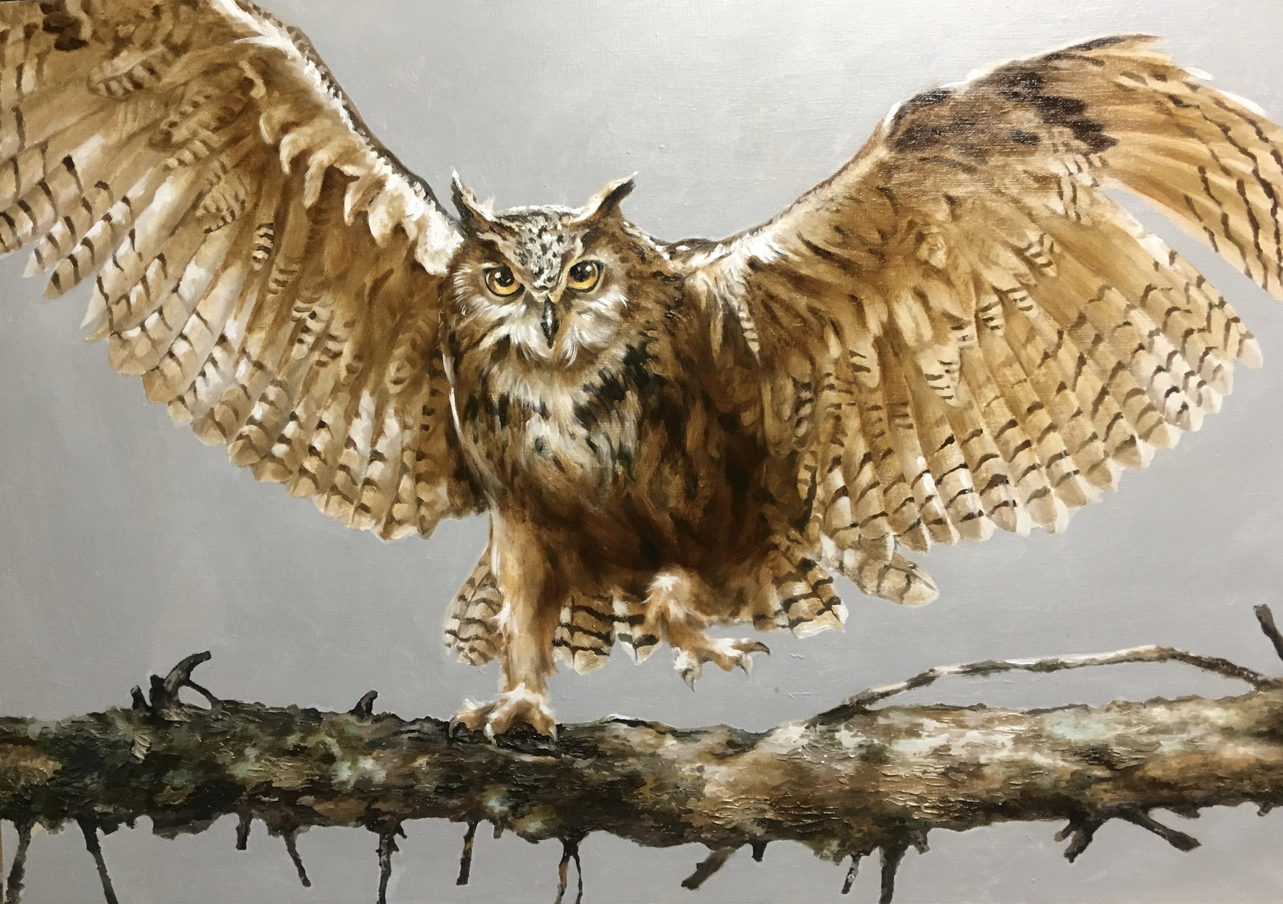 Owl