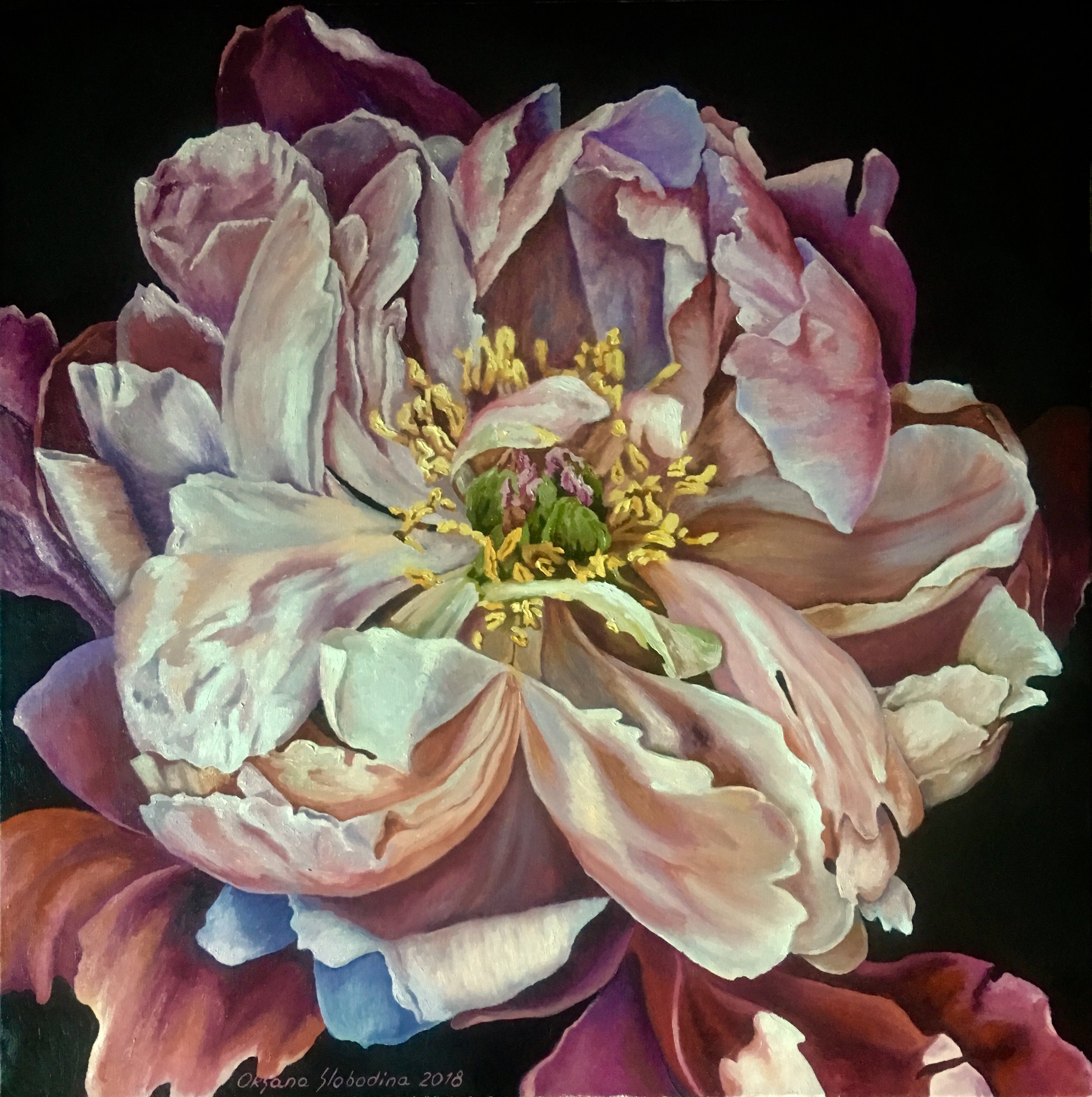 Peony