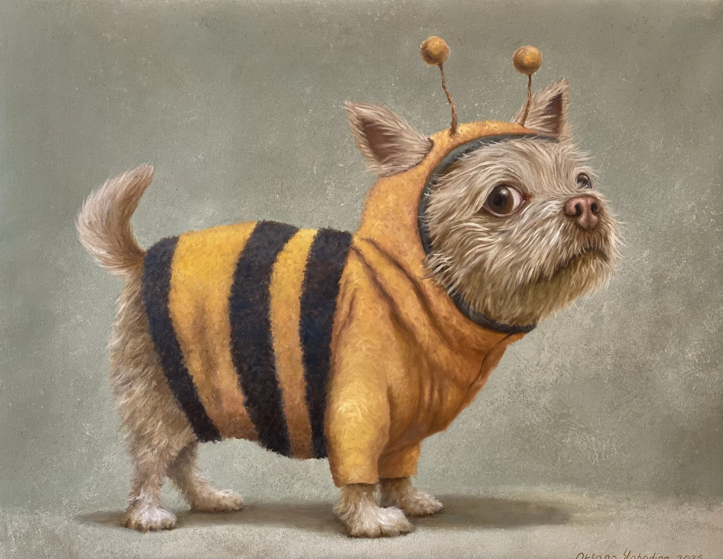 "Новый костюмчик"