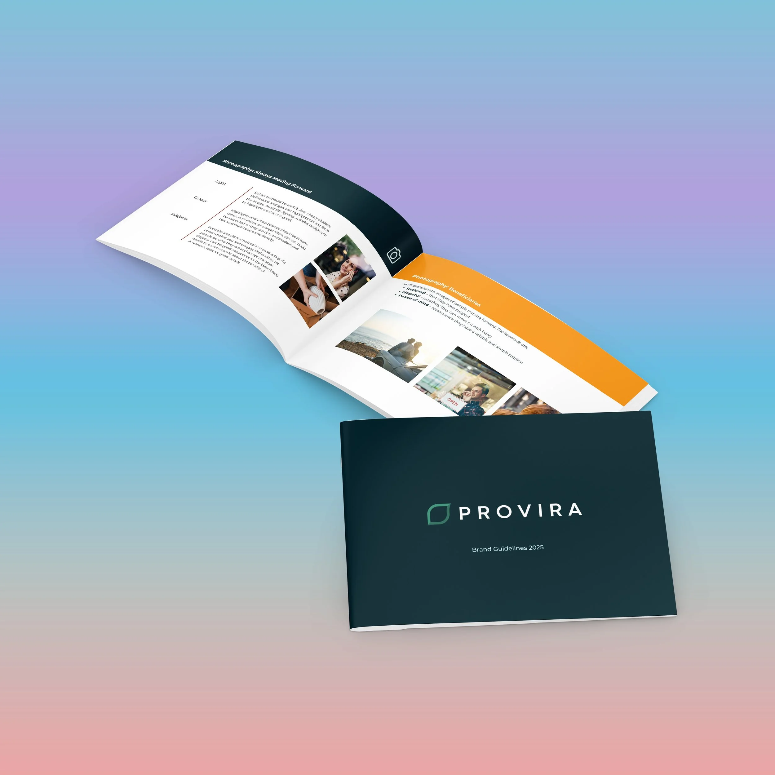 Provira Brand Guideline.jpg