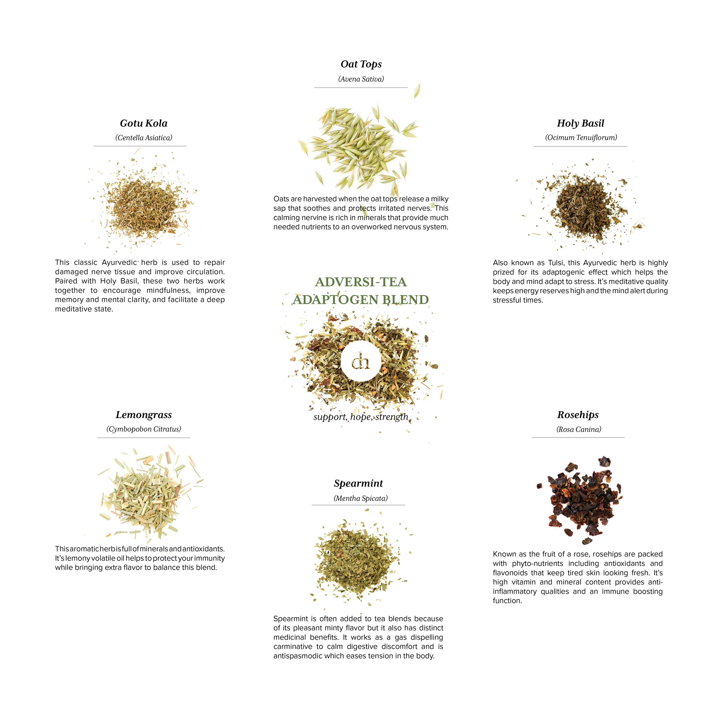 Adversi-Tea Adaptogen Blend