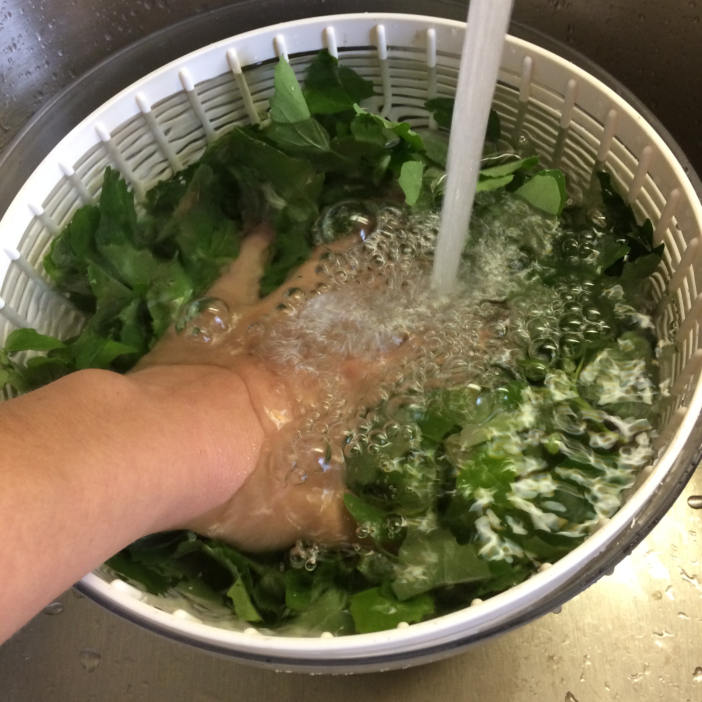   Washing the Greens  