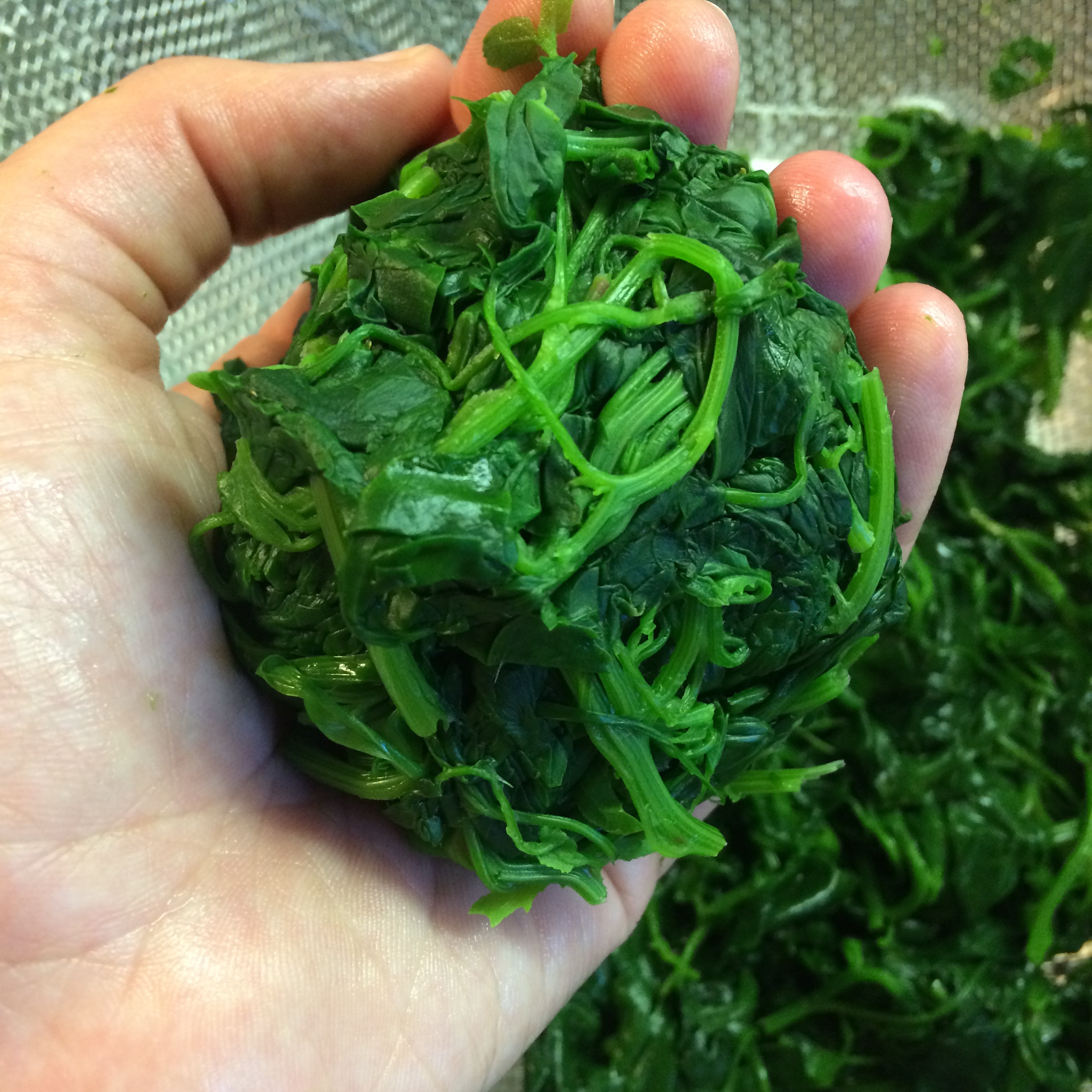   Cooked and Drained Ball of Greens  