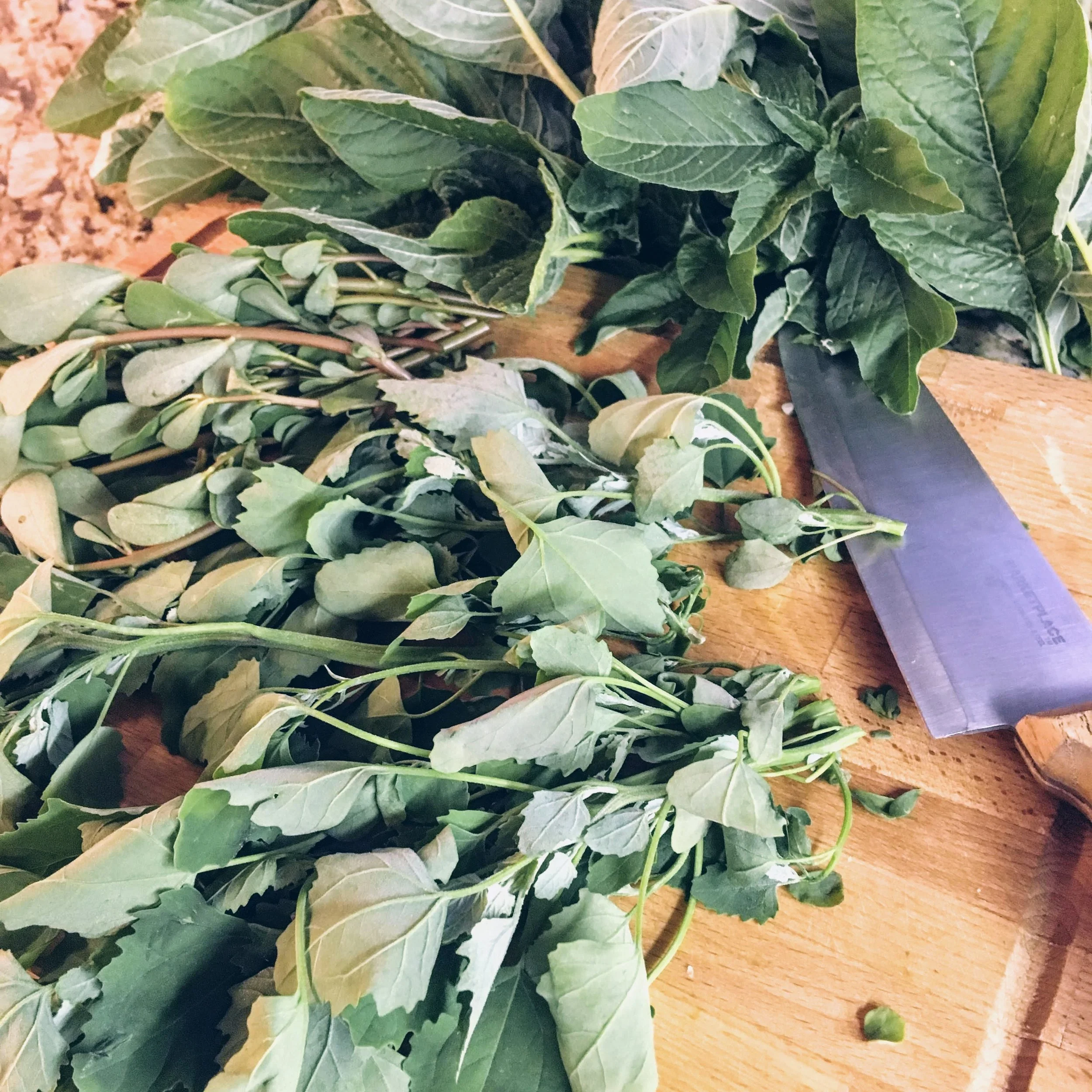 Eat Your Weeds: Foraging Web Event