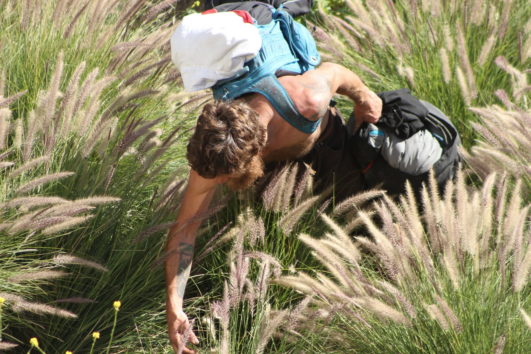 Foraging in a field while carrying bags of supplies: is this what survival looks like post-apocalypse?