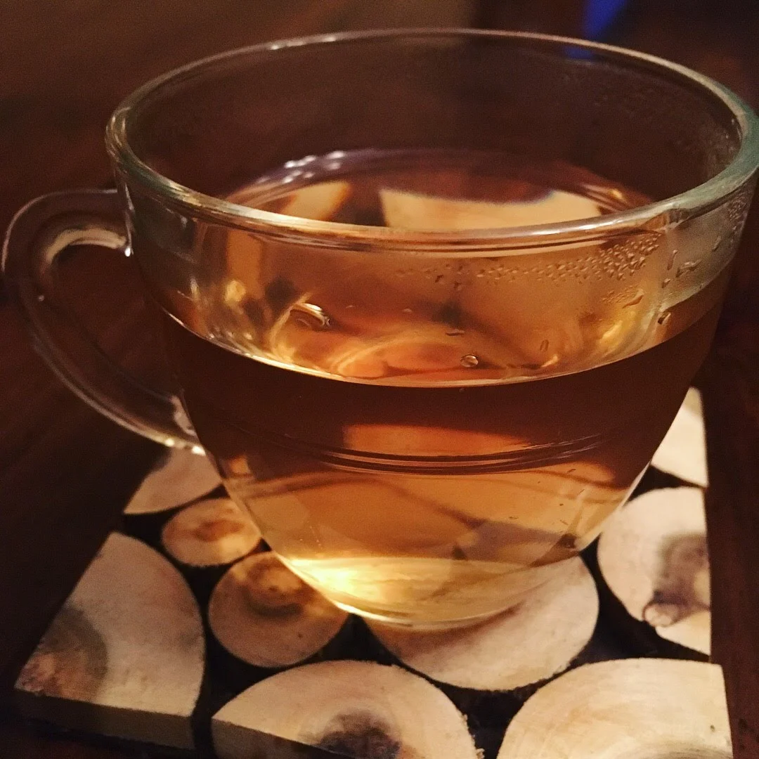 A decoction of white cedar ( Thuja occidentalis ).