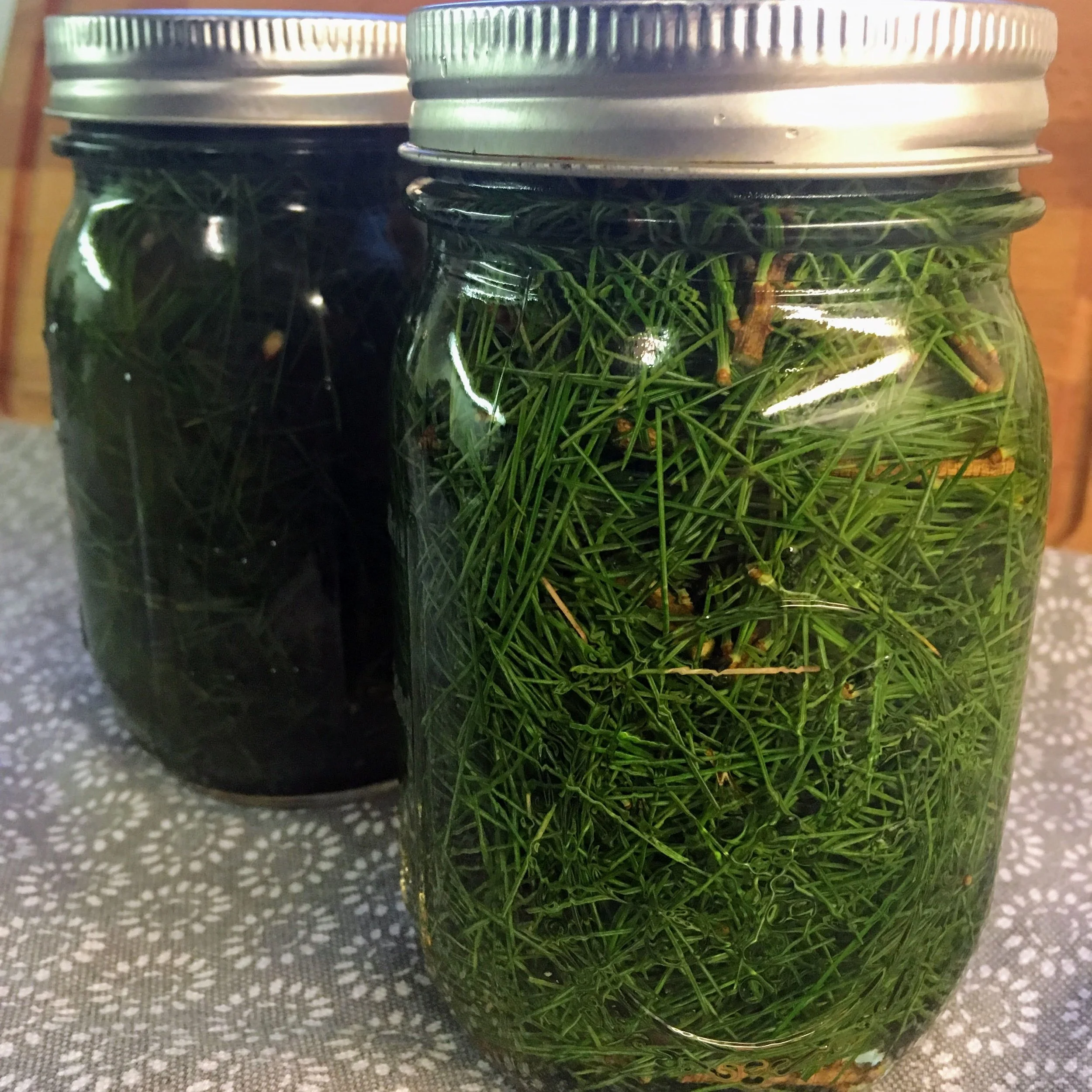 SOLD OUT - Edible Evergreens (Virtual Event)