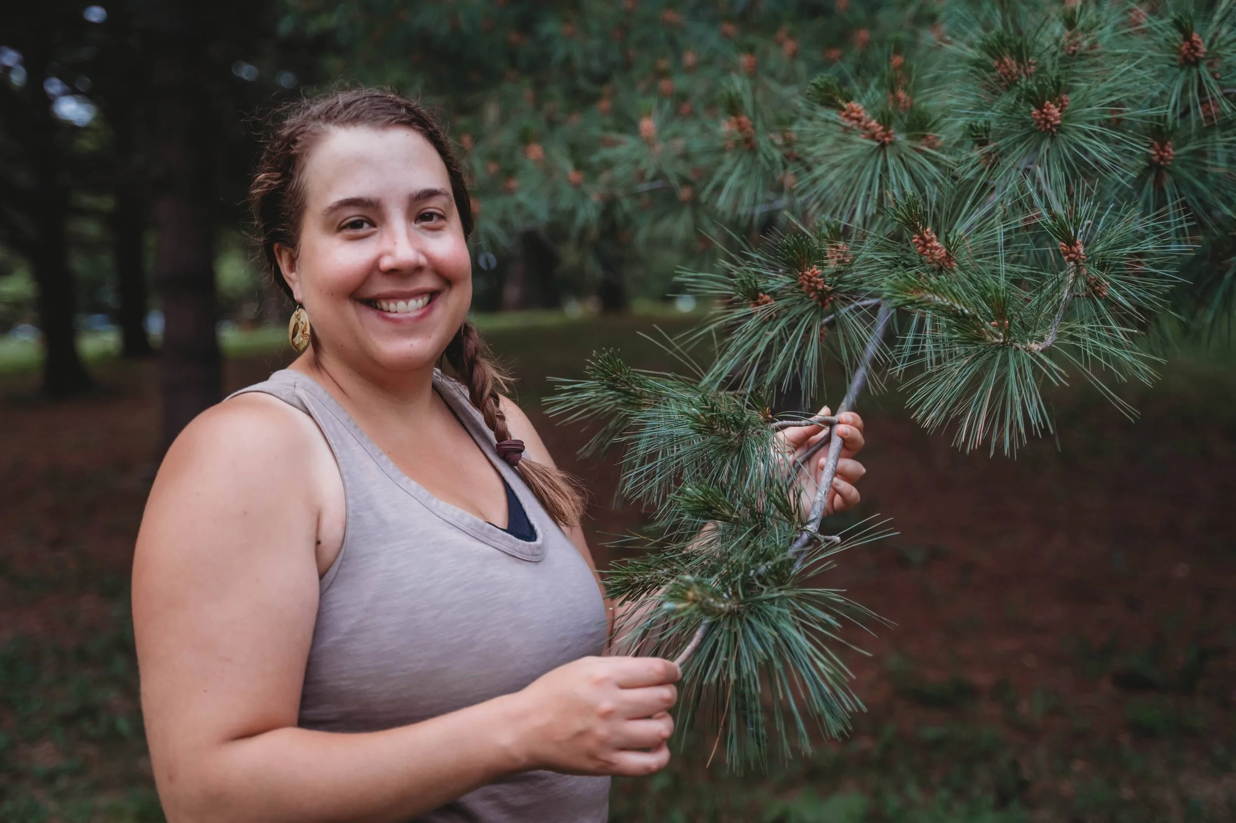 Edible Evergreens (Virtual Class)