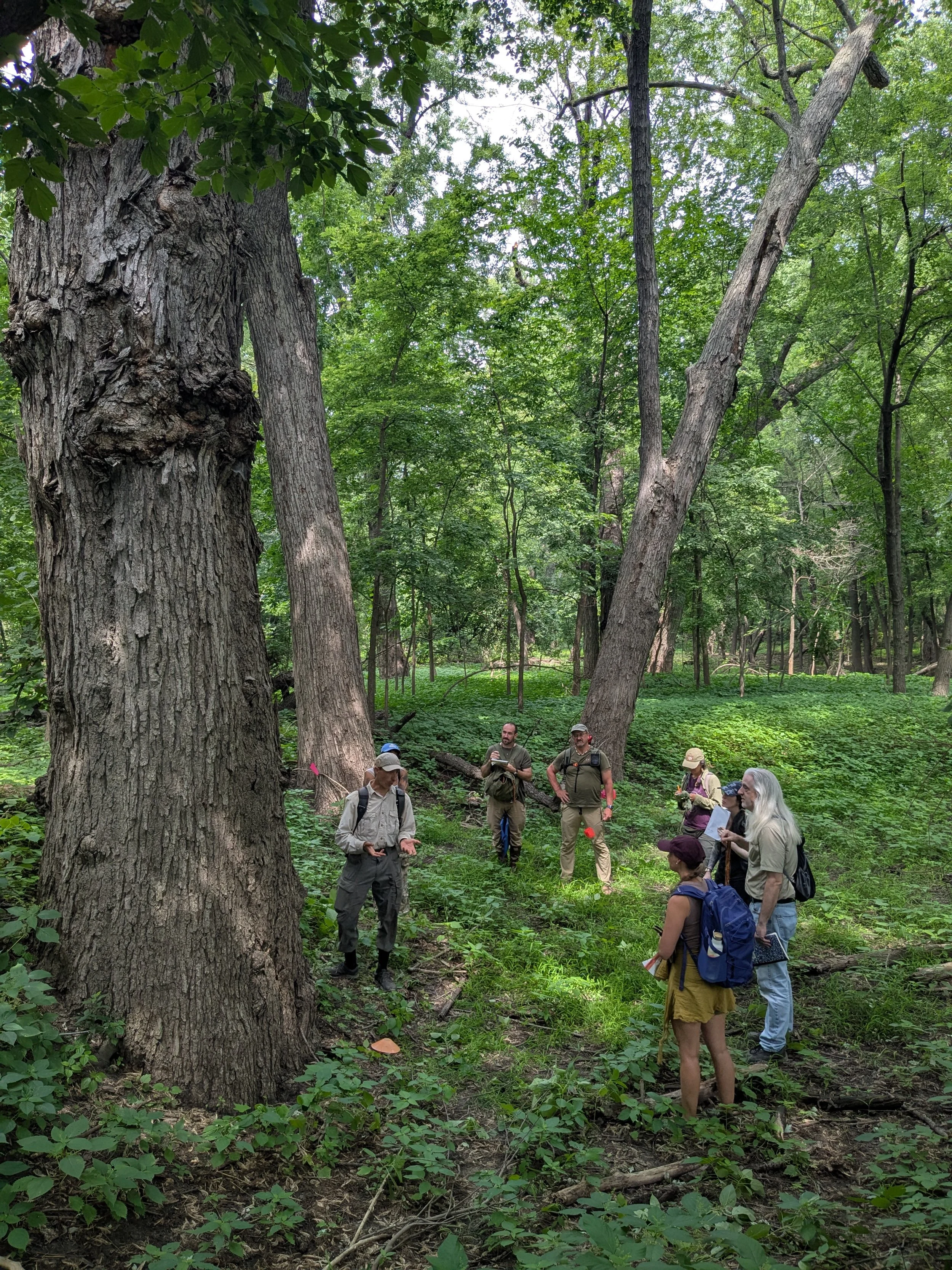 Track &amp; Sign Practice Assessment