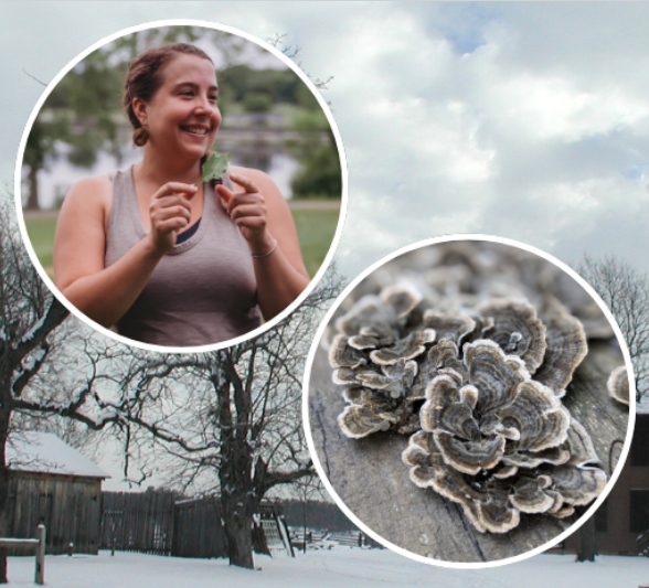 SOLD OUT - Winter Foraging for Wild Edibles