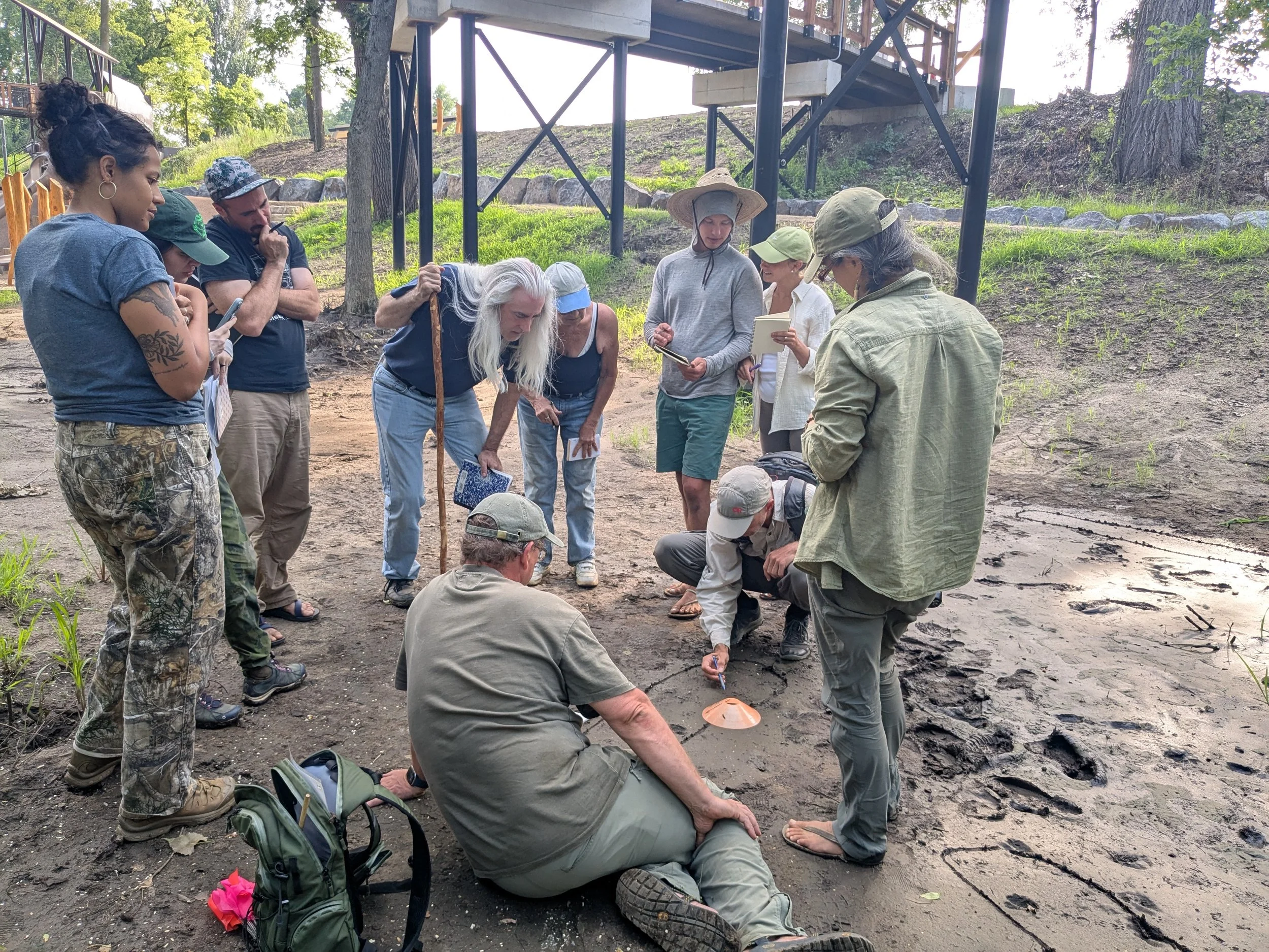 Track &amp; Sign Practice Assessment