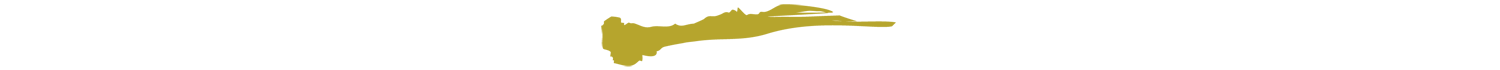 SWOOSH2.png