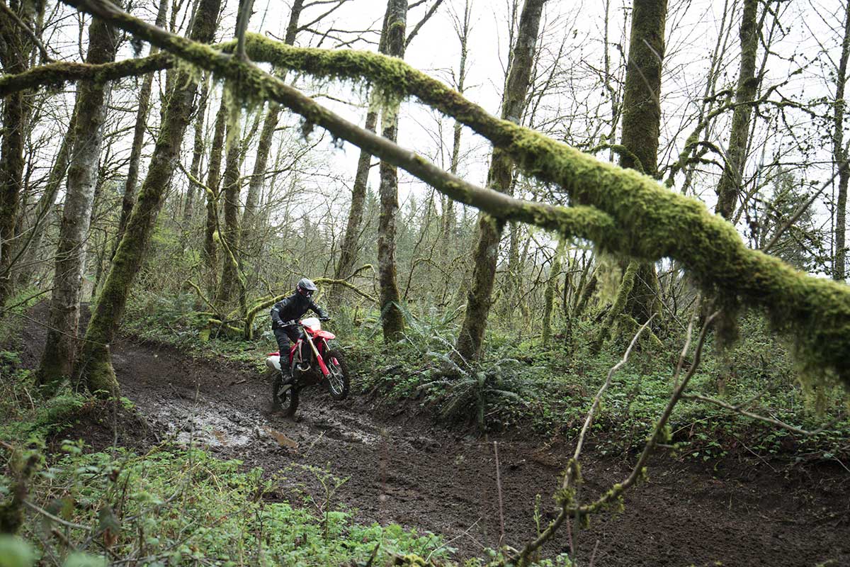19-Honda-CRF450X_Action_9.jpg