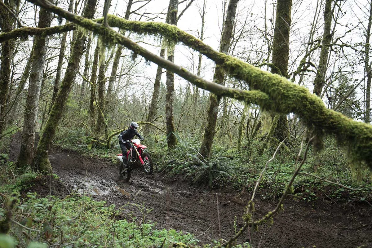 19-Honda-CRF450X_Action_9.jpg