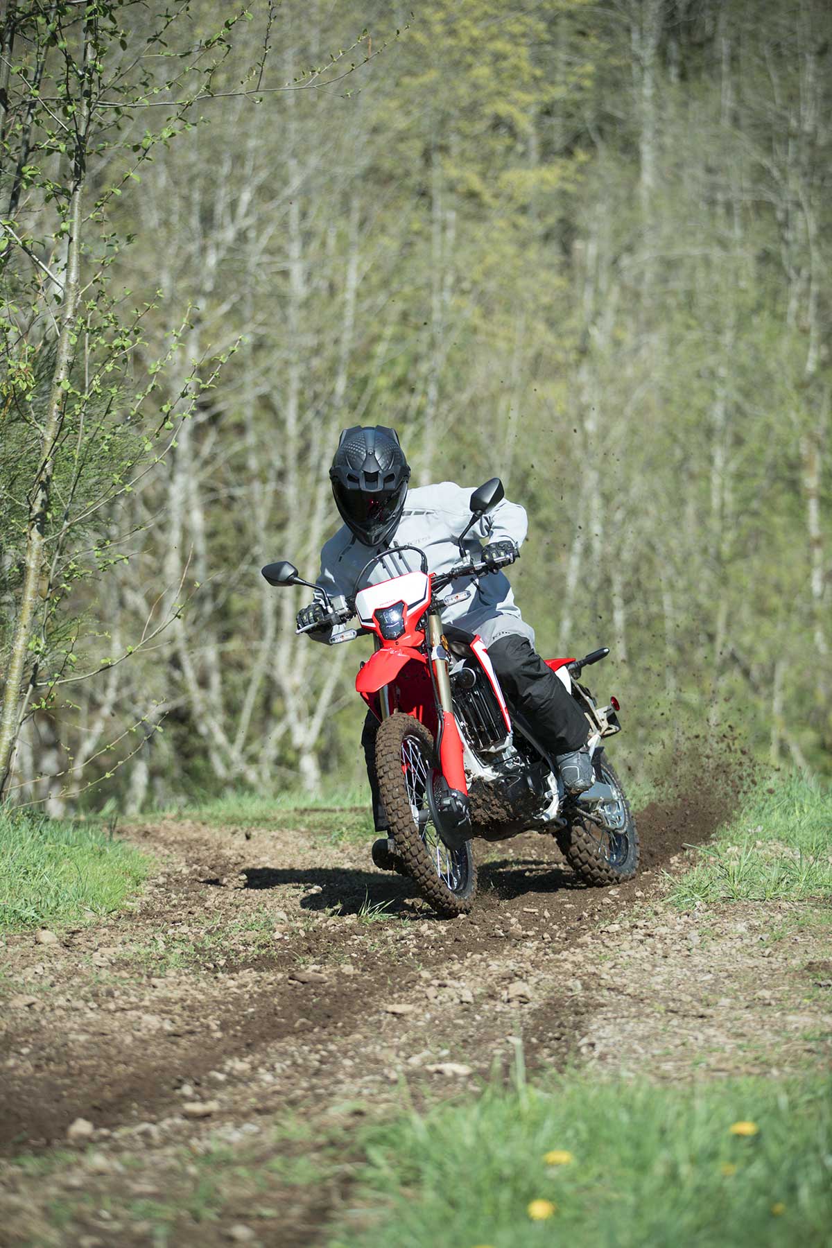 19-Honda-CRF450L_Action_1.jpg