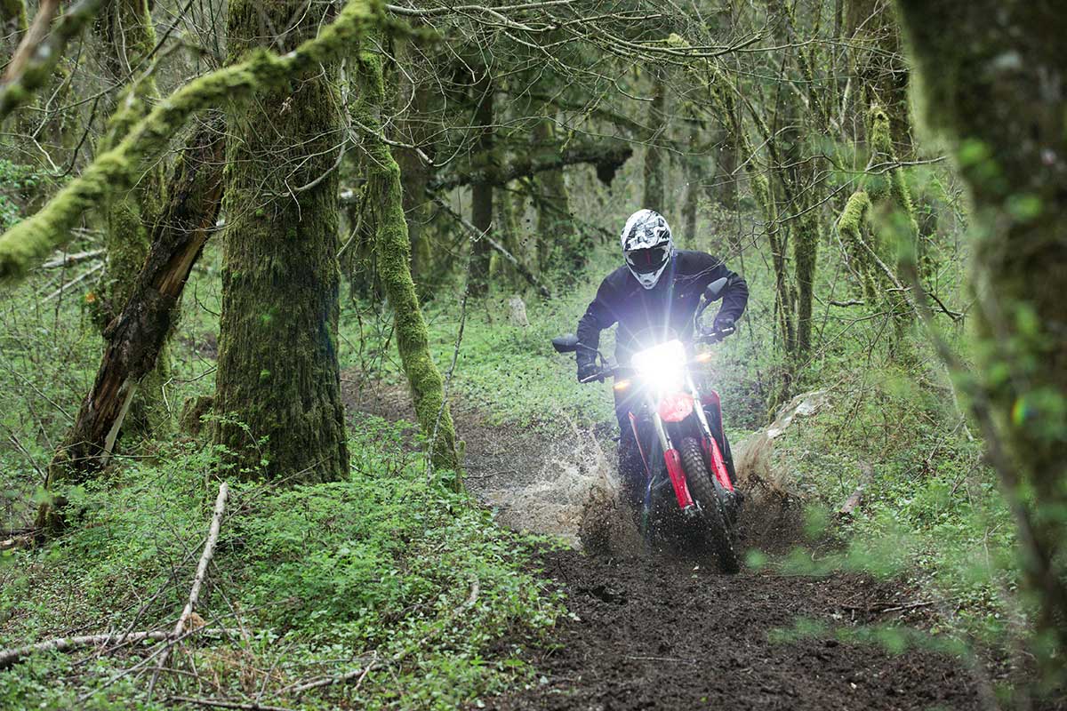 19-Honda-CRF450L_Action_3.jpg