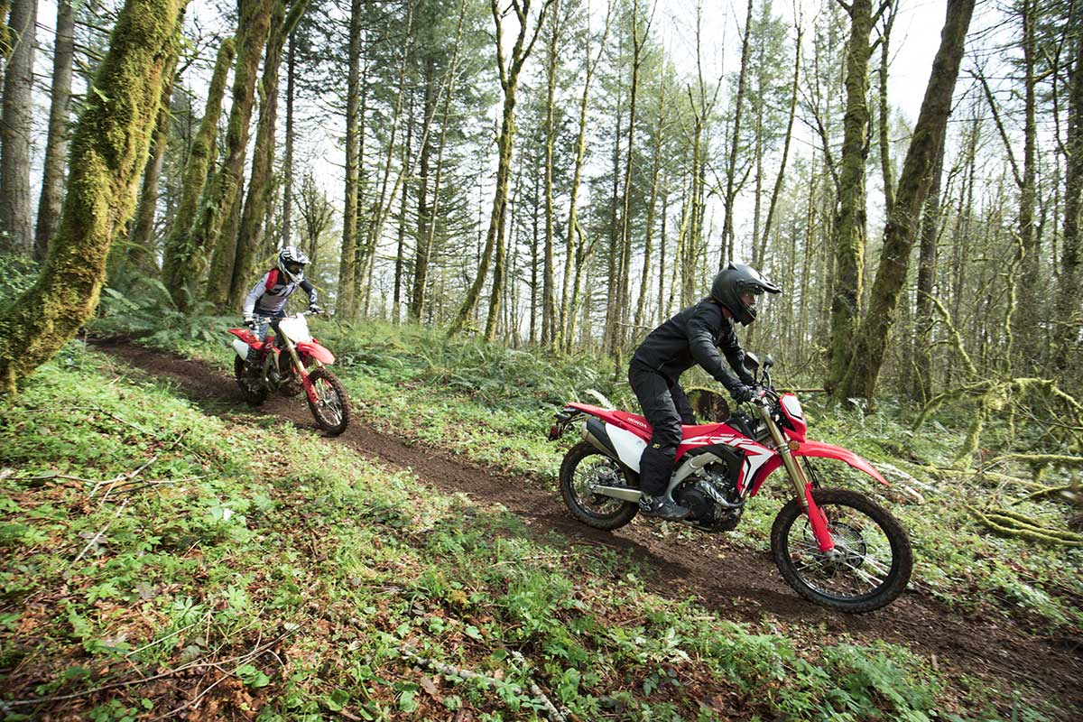 19-Honda-CRF450L_Action_4.jpg