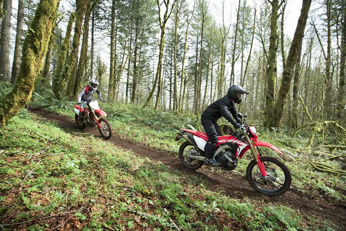 19-Honda-CRF450L_Action_4.jpg