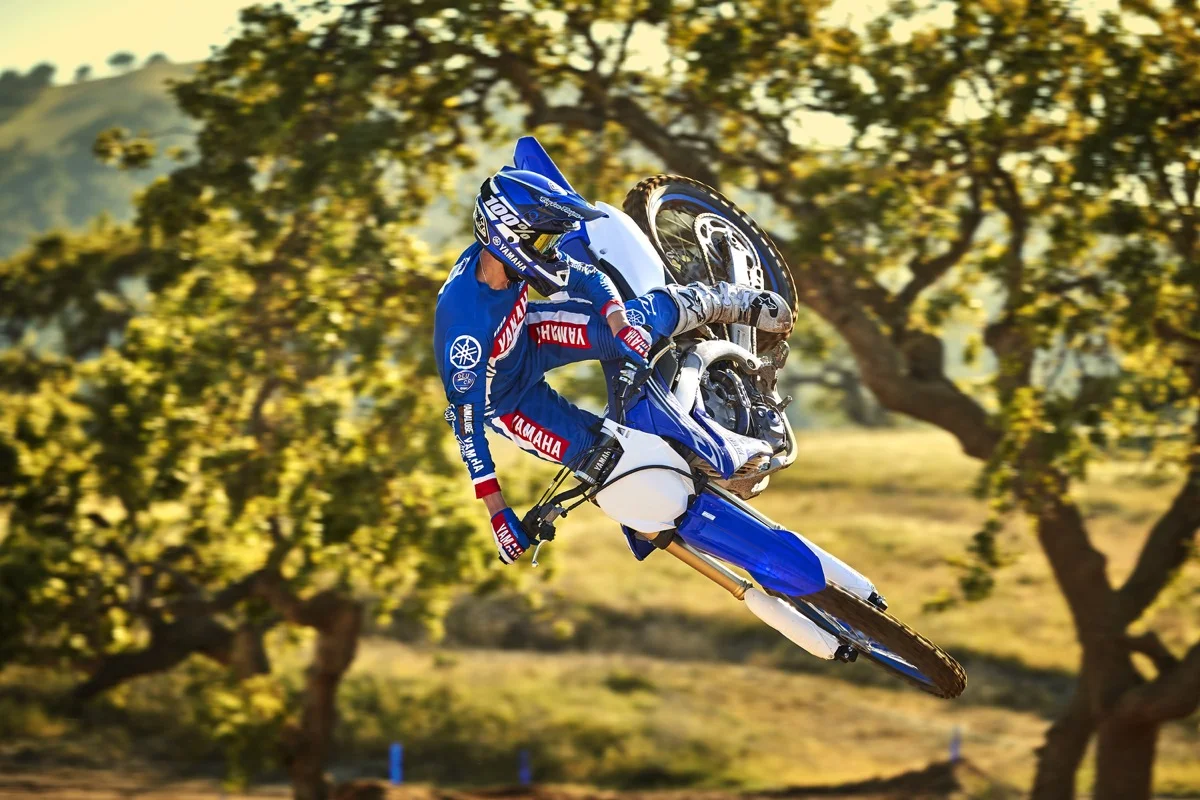 19_YZ250F_TeamYamahaBlue_A11.jpg