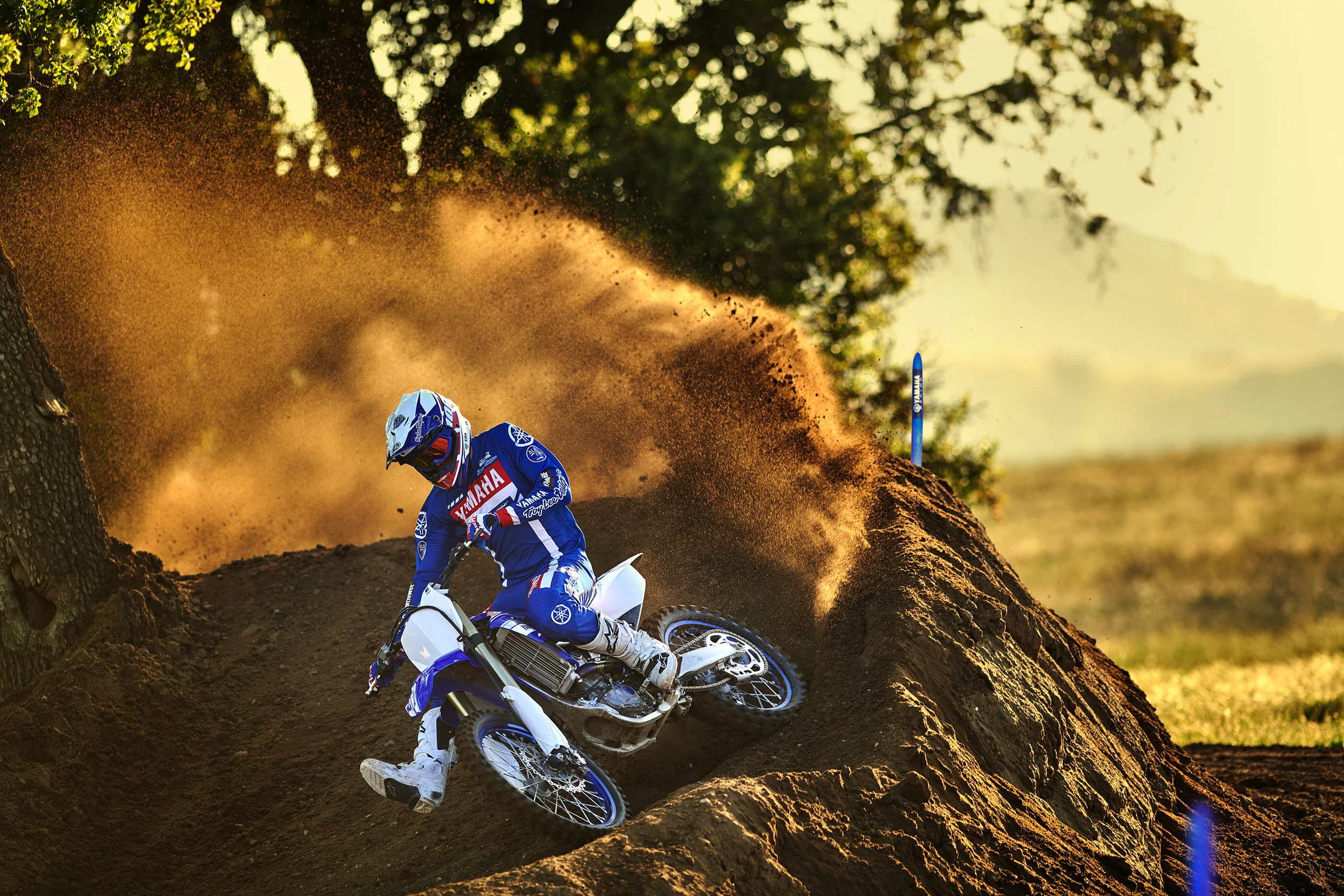 19_YZ450F_TeamYamahaBlue_A09.jpg