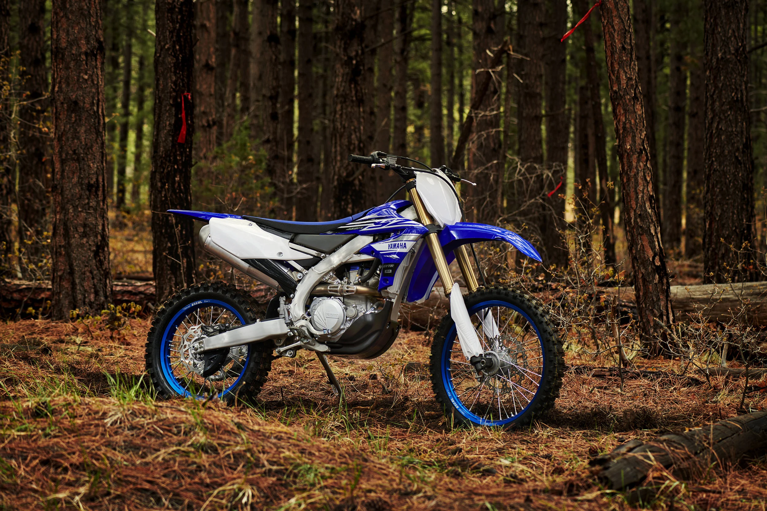 19_YZ450FX_TeamYamahaBlue_B02.jpg