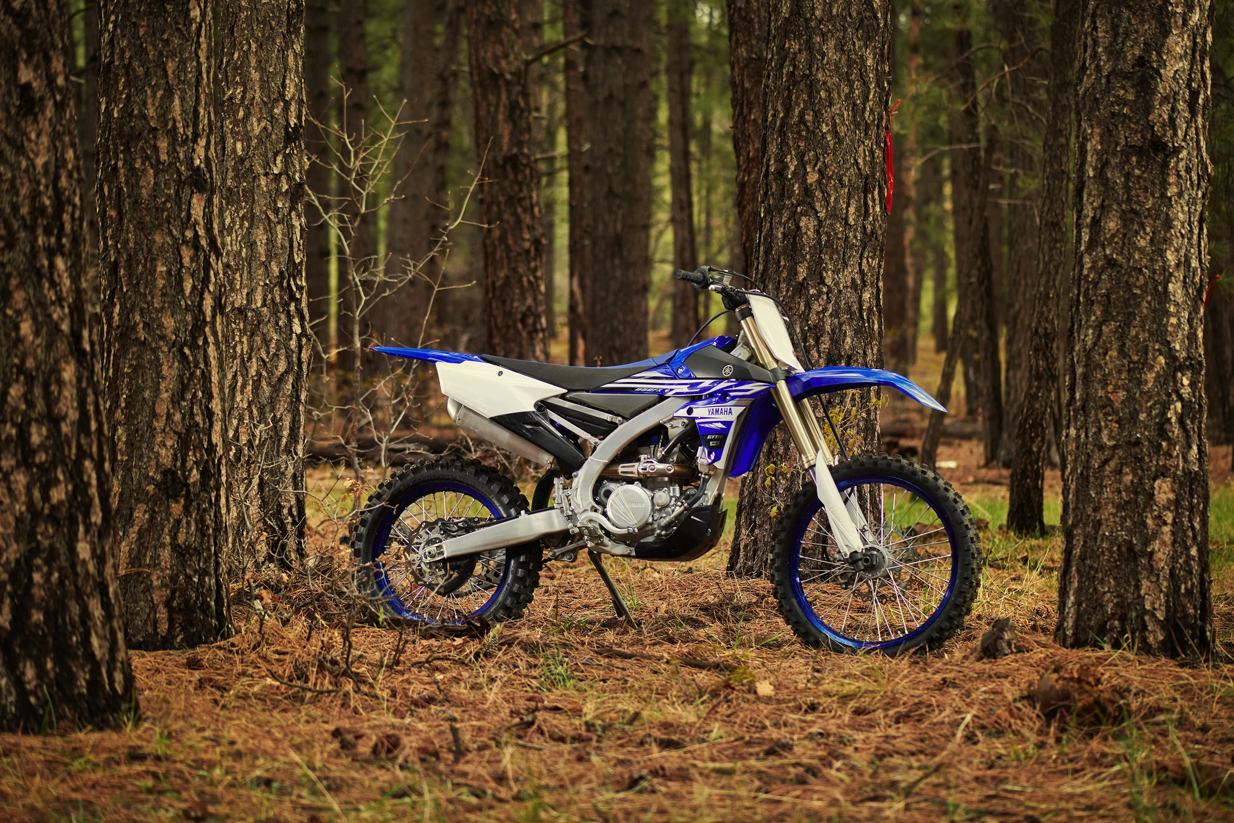 19_YZ250FX_TeamYamahaBlue_B01.jpg