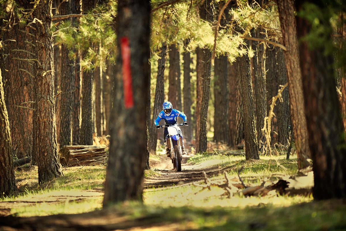 19_YZ250FX_TeamYamahaBlue_A04.jpg