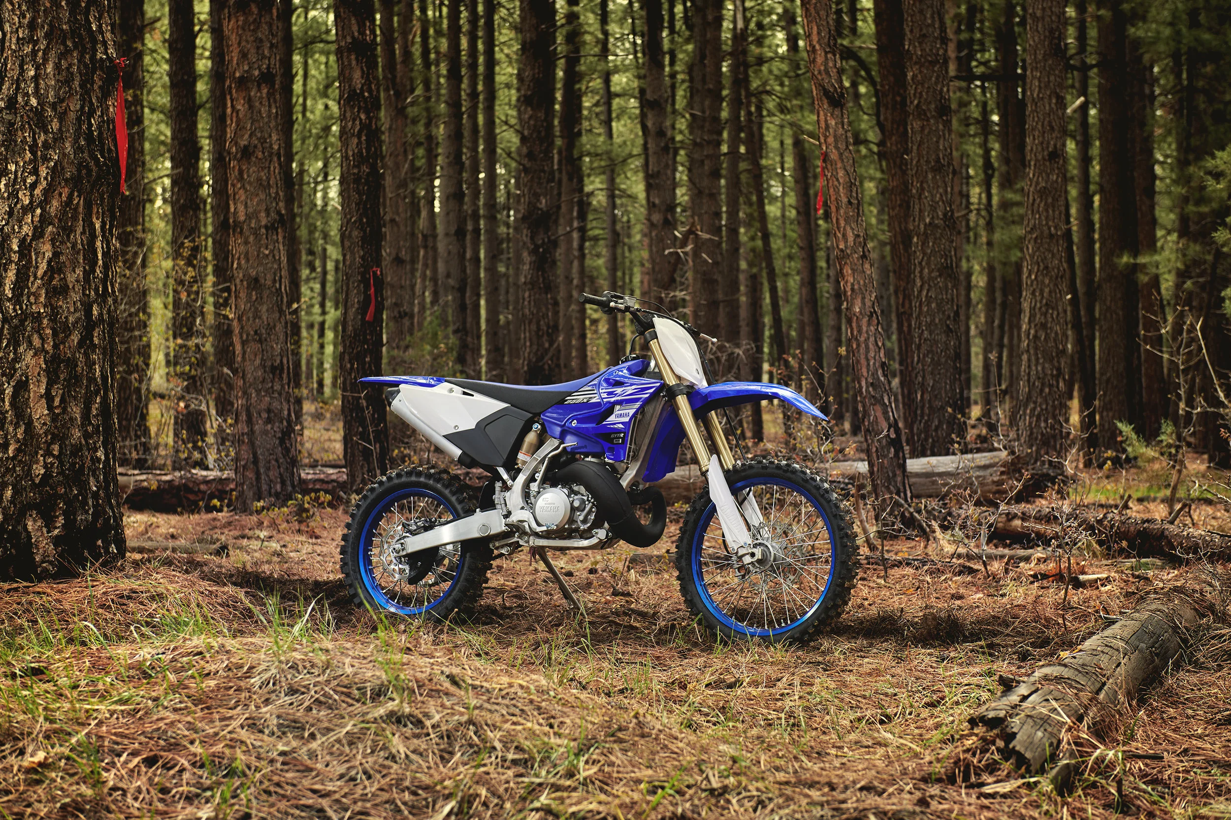 19_YZ250X_TeamYamahaBlue_B01.jpg