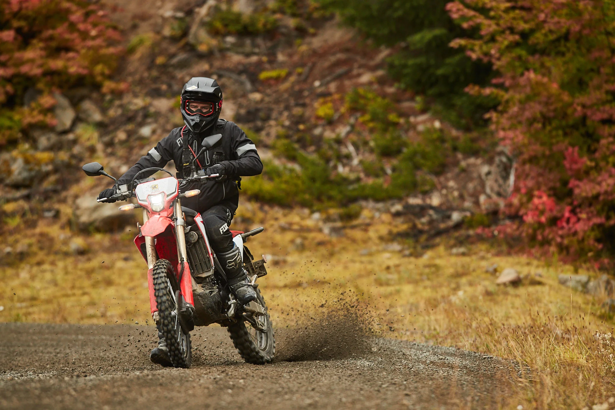 180911_drp_honda_crf450l_2361_web.jpg