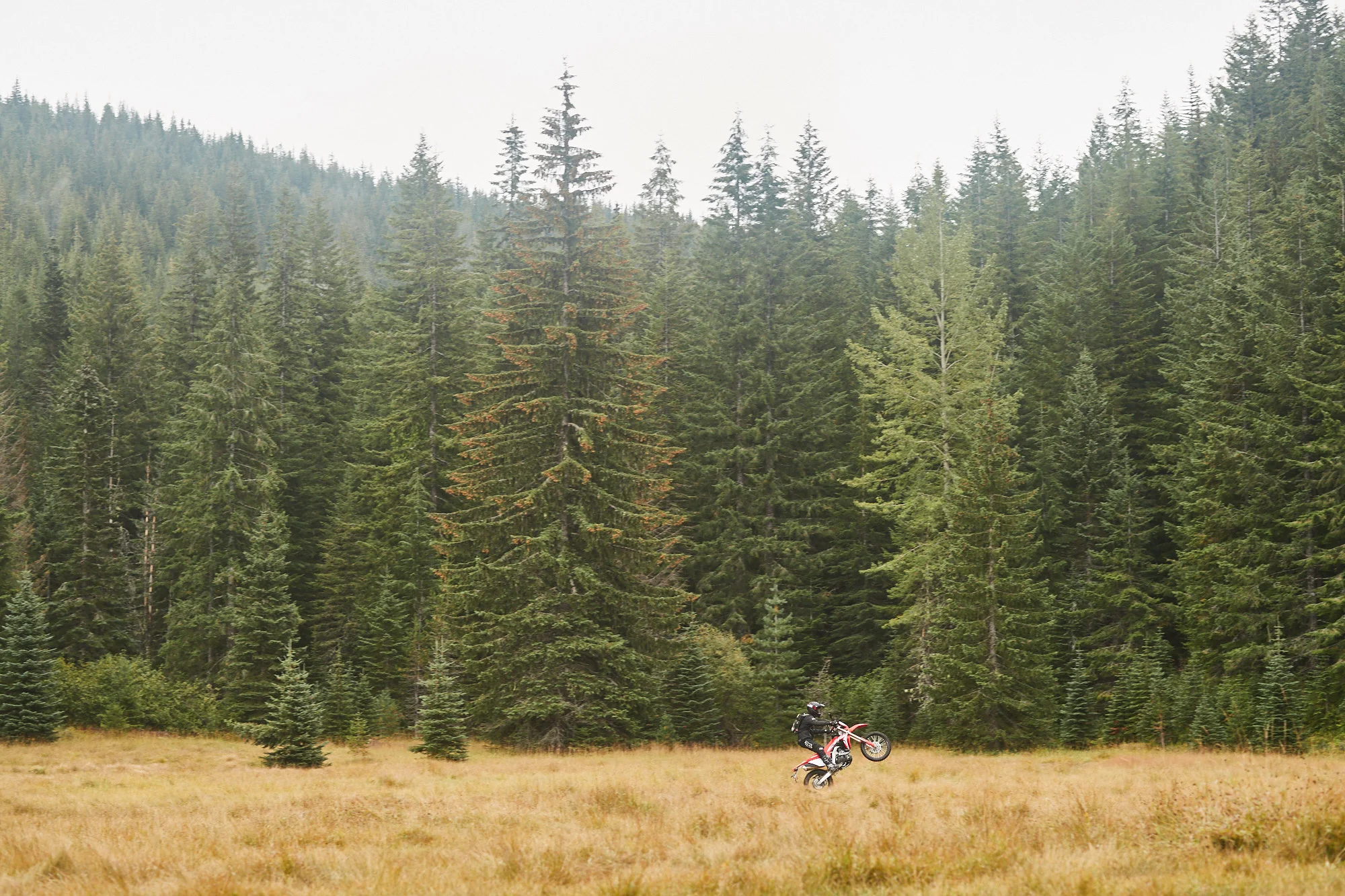 180911_drp_honda_crf450l_2854_web.jpg