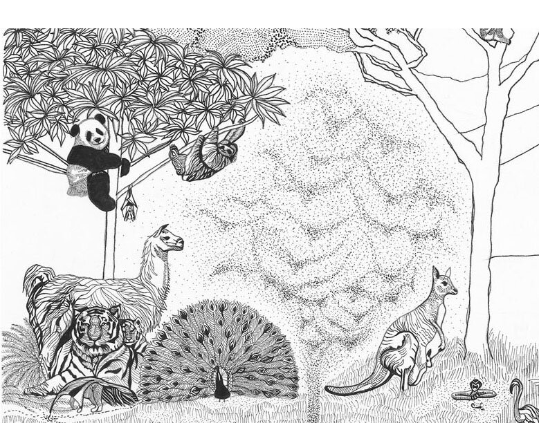 ANIMAL KINGDOM_TIGER.jpg