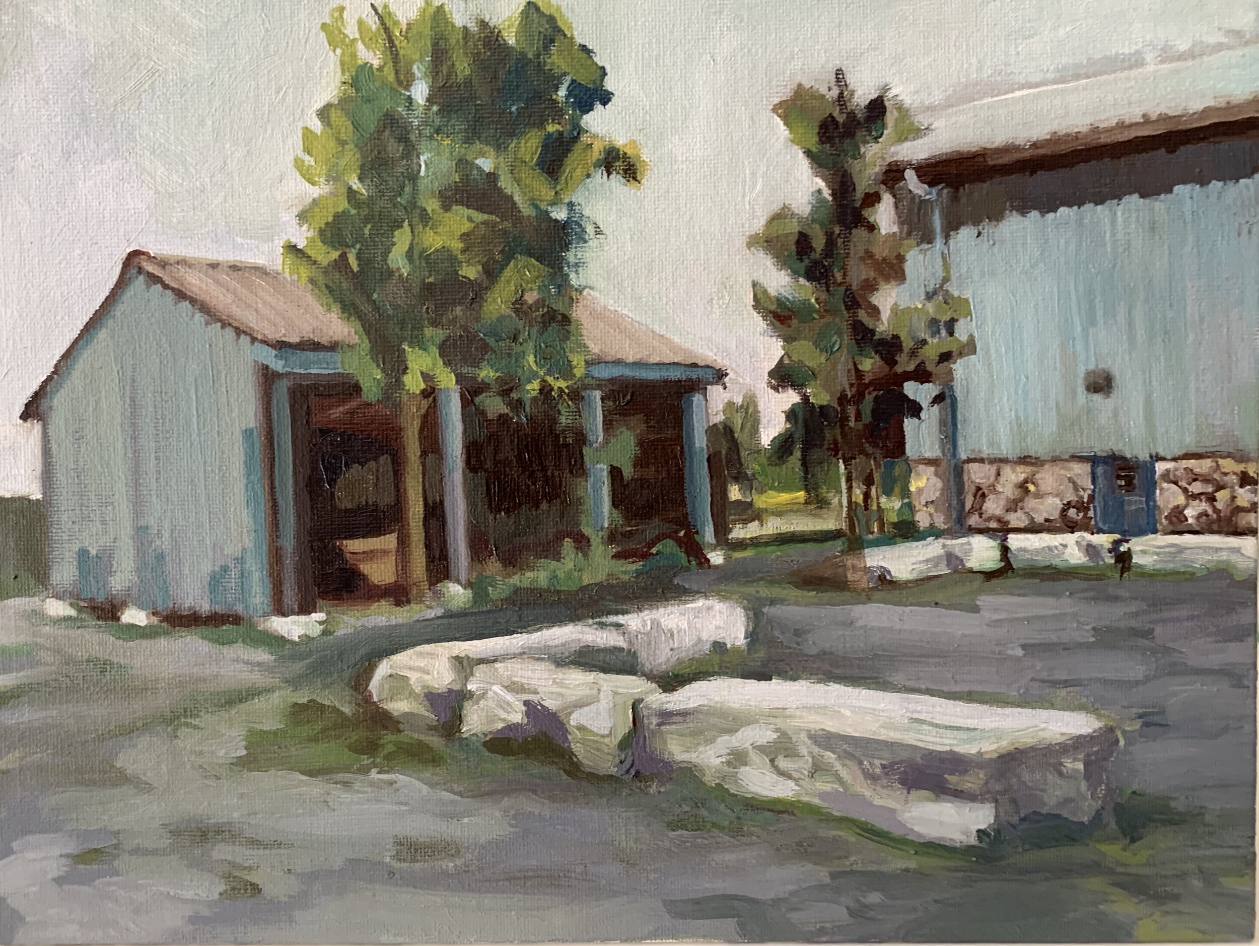 Barns at Phyllis Rawlinson Park