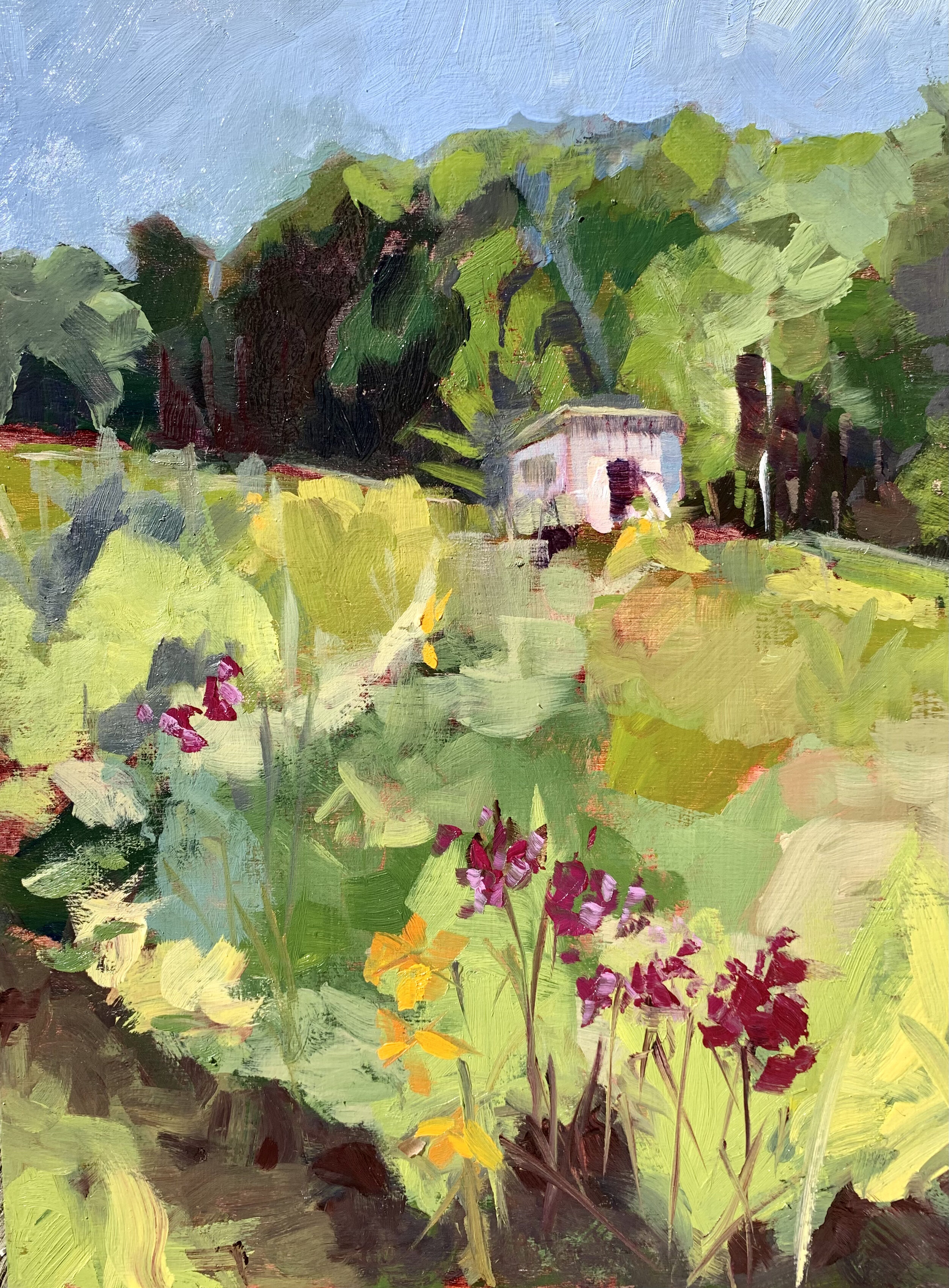 Gardening Shed Haliburton