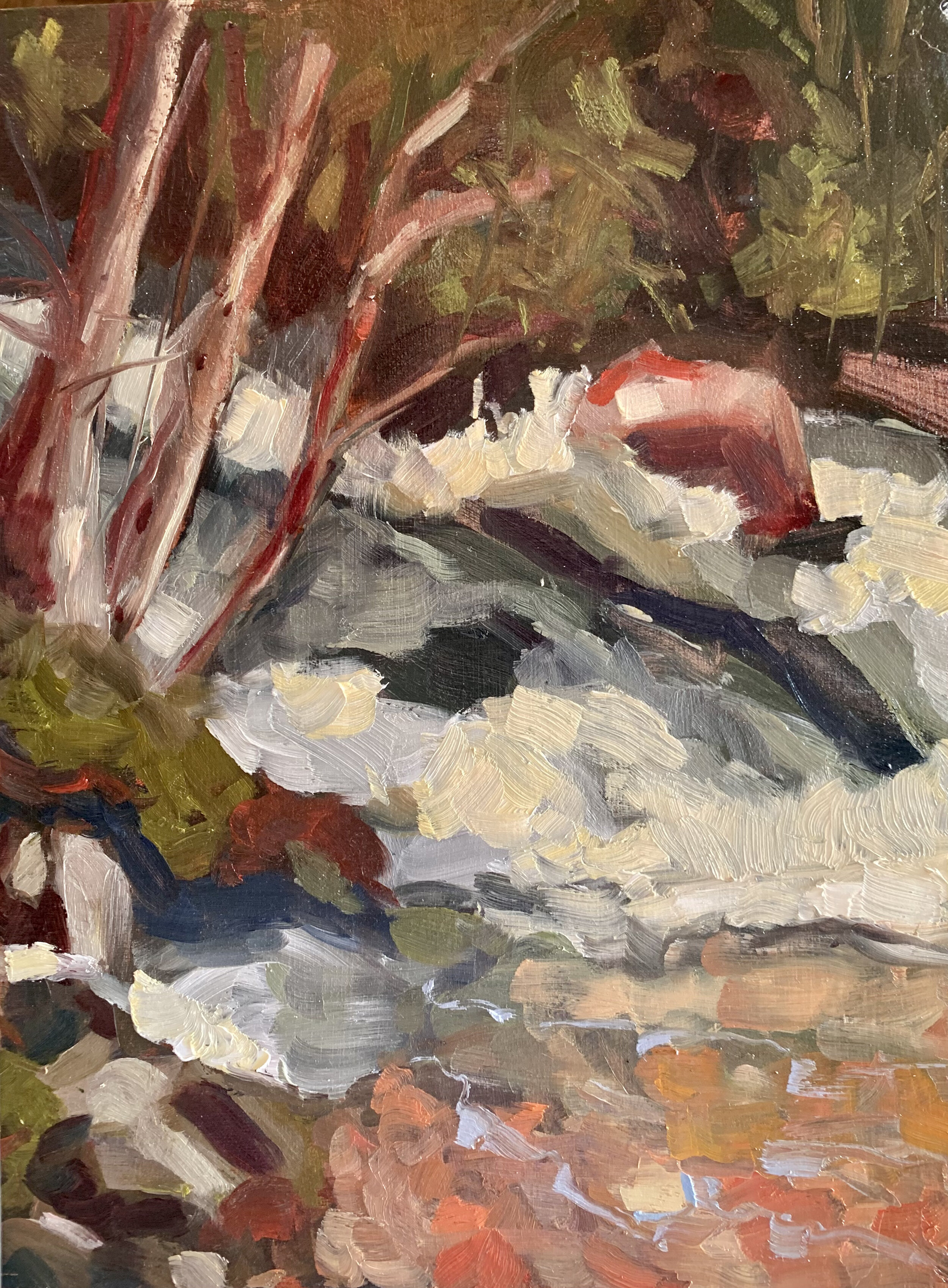Gull River Rapids, Haliburton