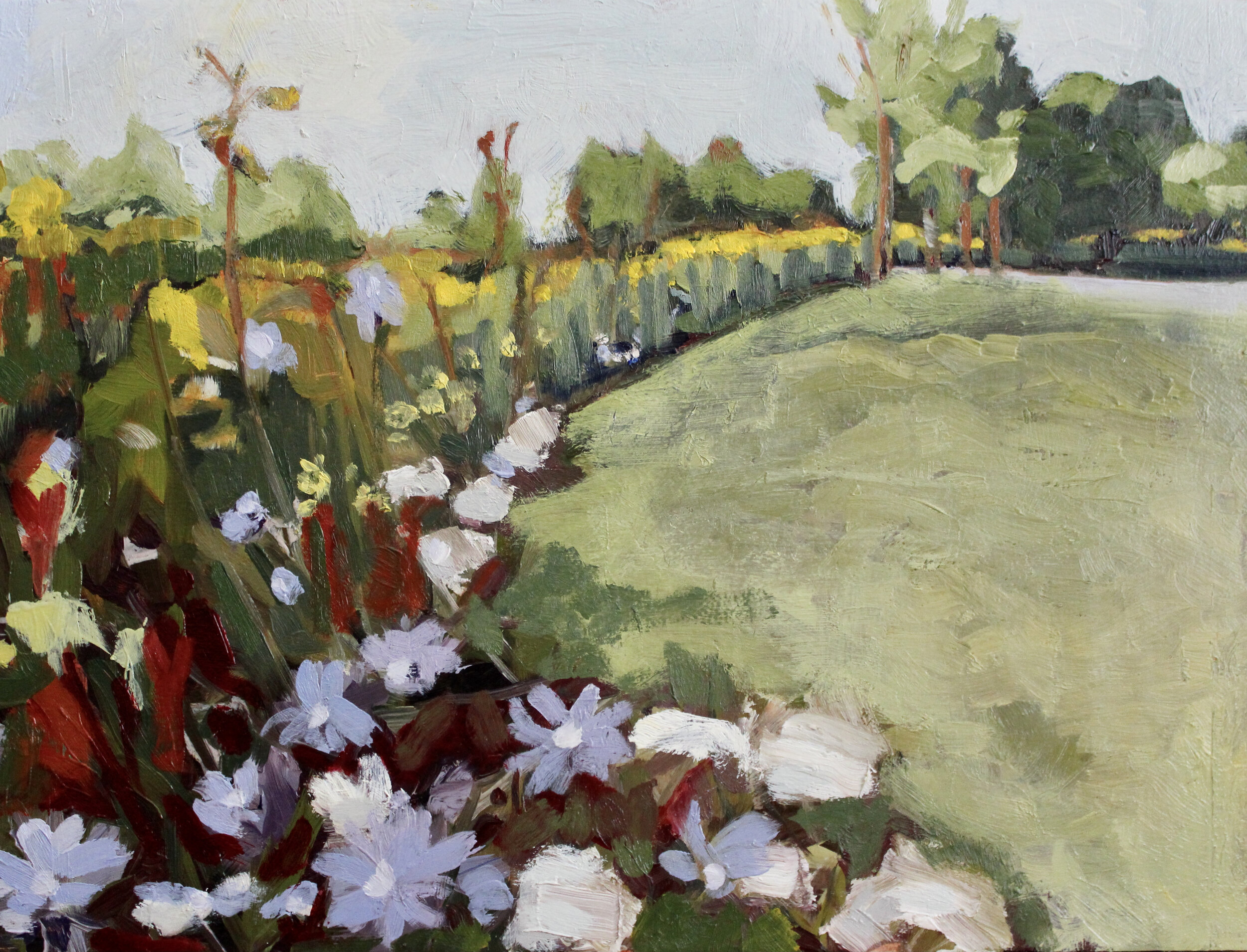 Phyllis Rawlinson Flowers and Path
