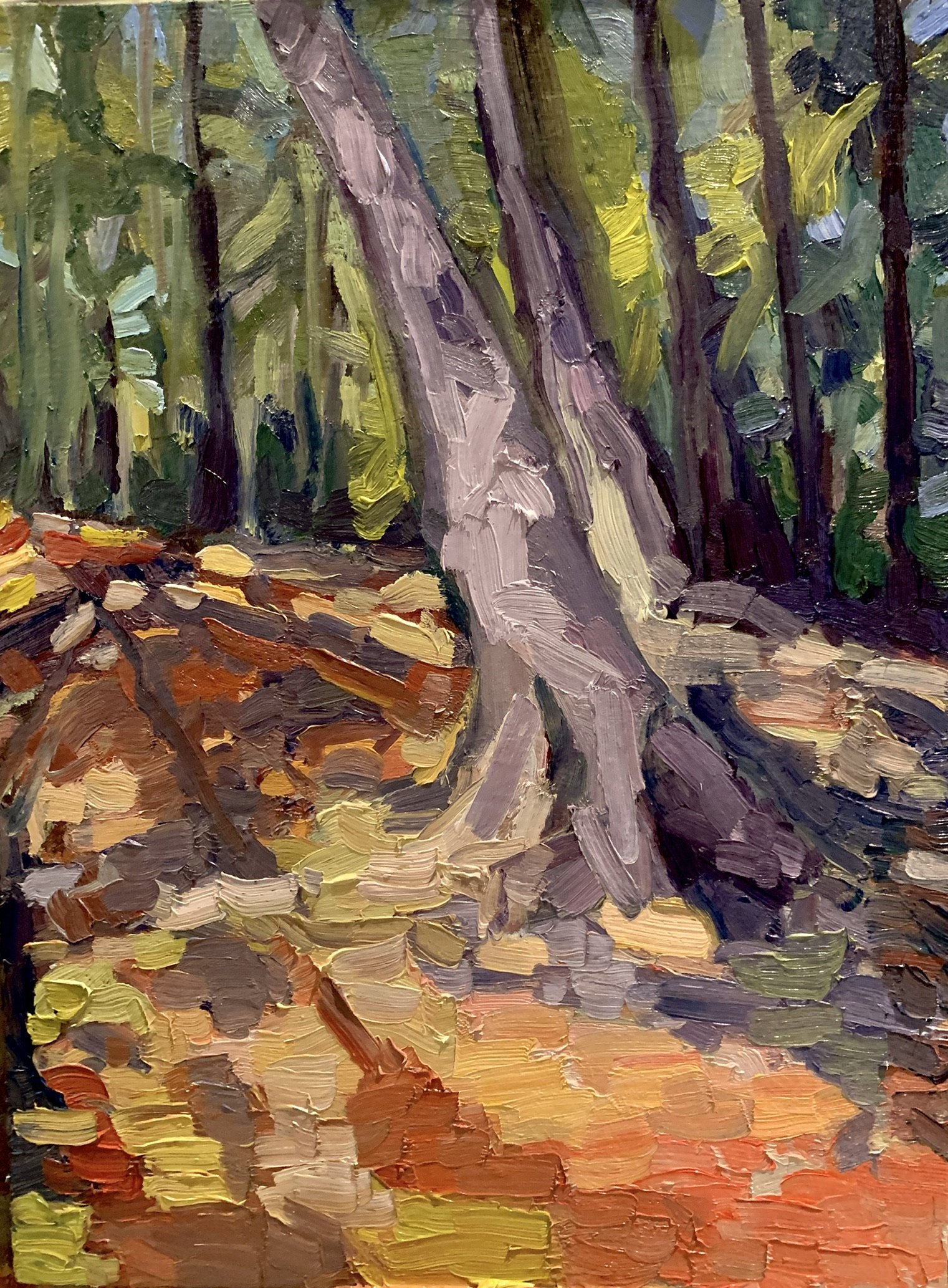 Into the Woods