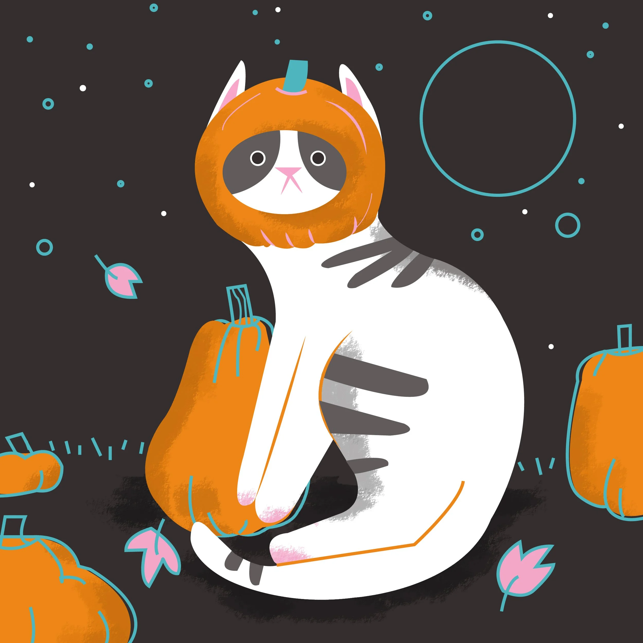 Cat-o-ween-pumpkin patch-01.jpg