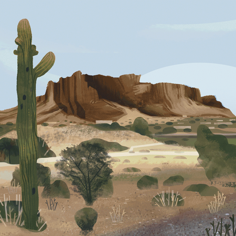 arizona-test_square.gif