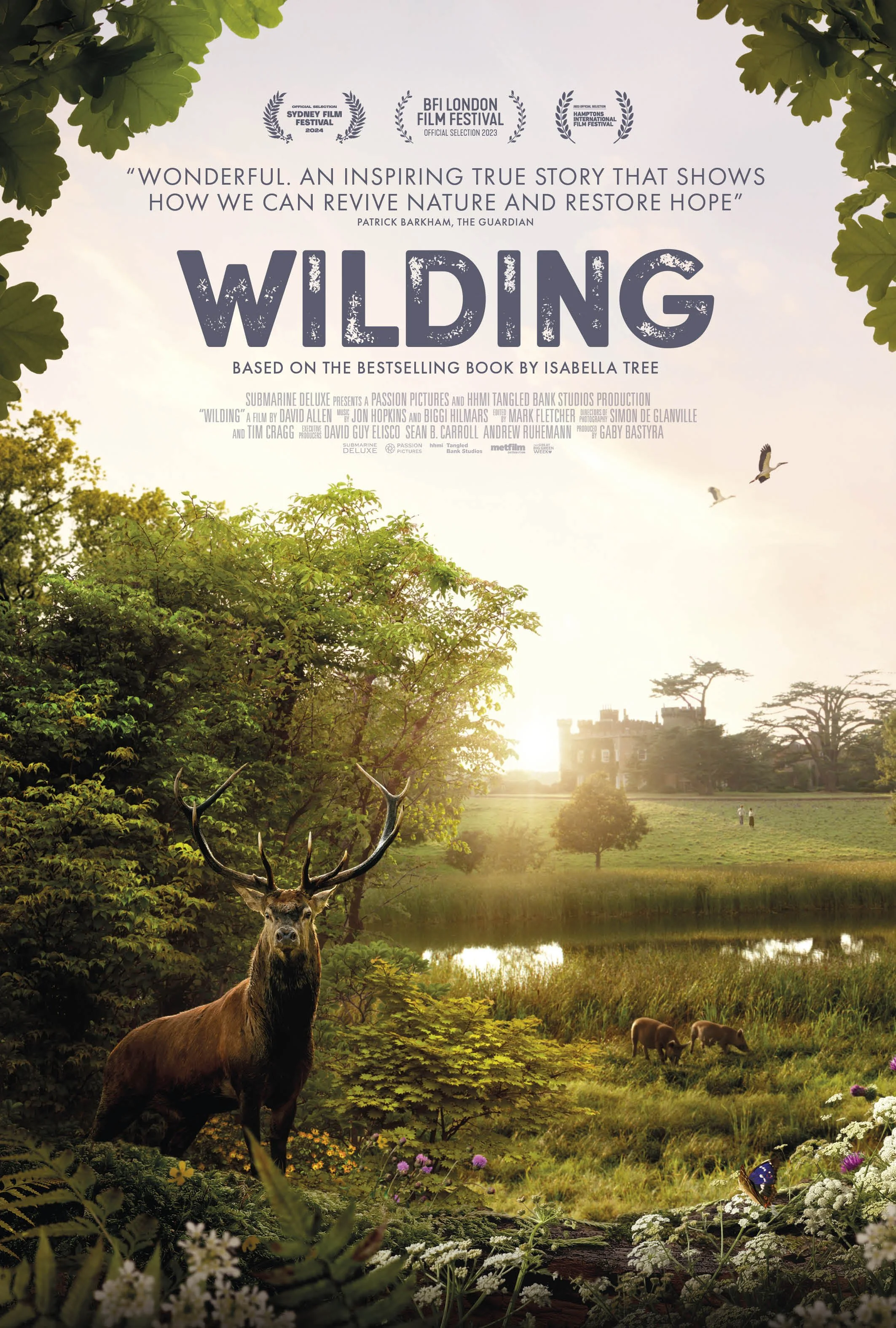 Relaxed Film: Wilding