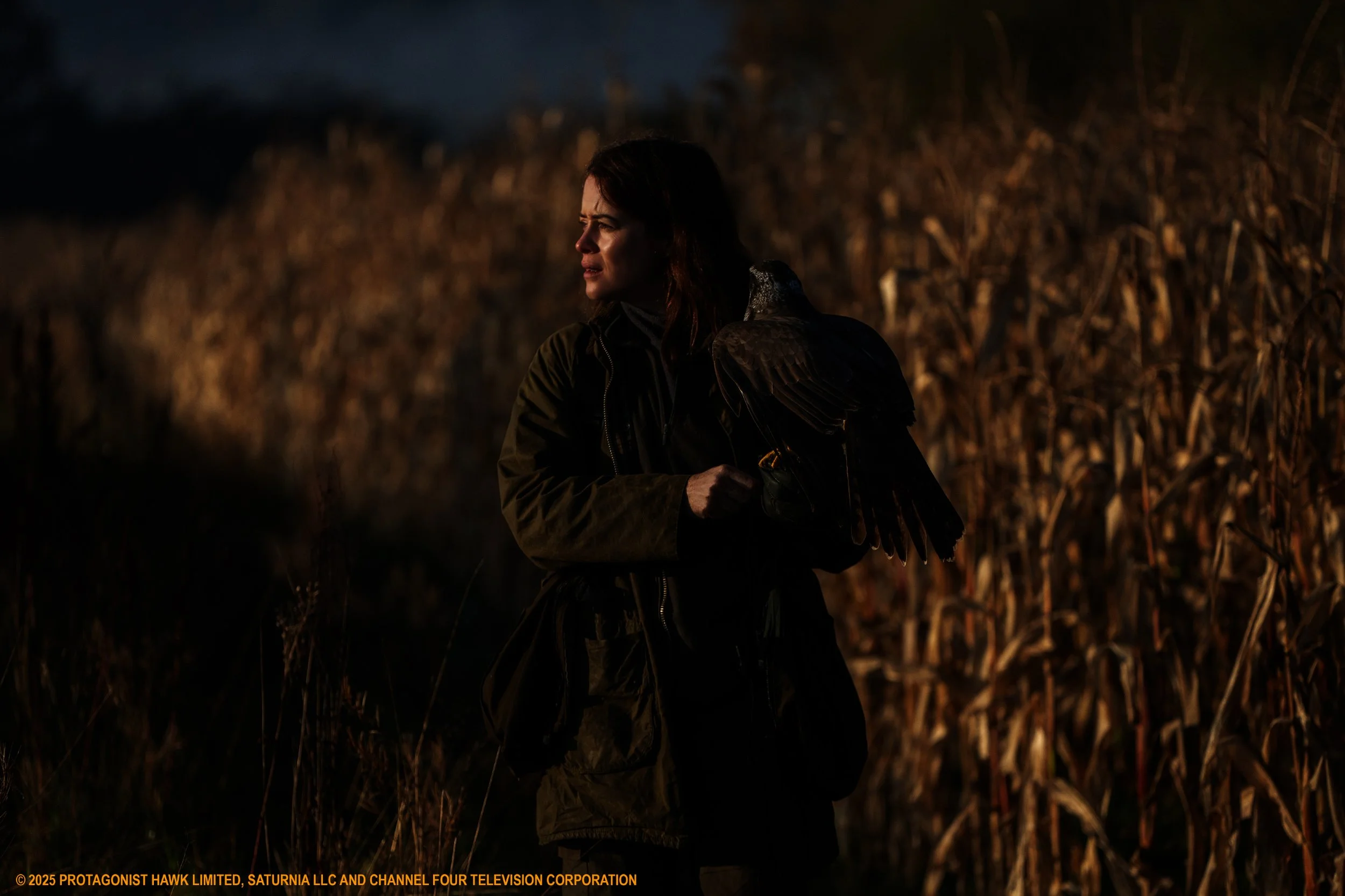 Relaxed Film: H is for Hawk