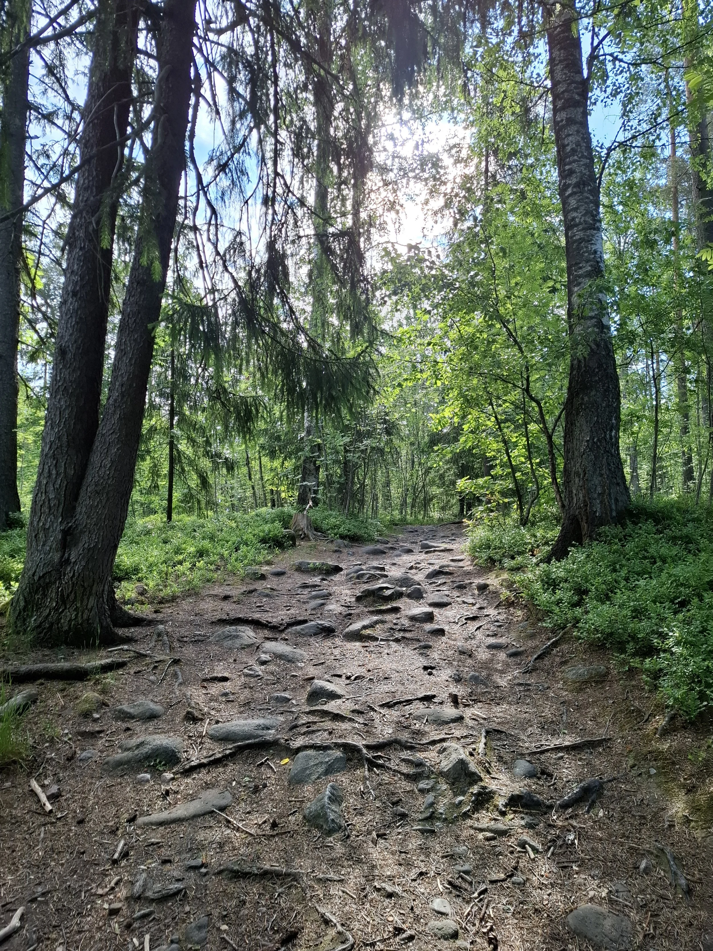 20260604_090453.jpg