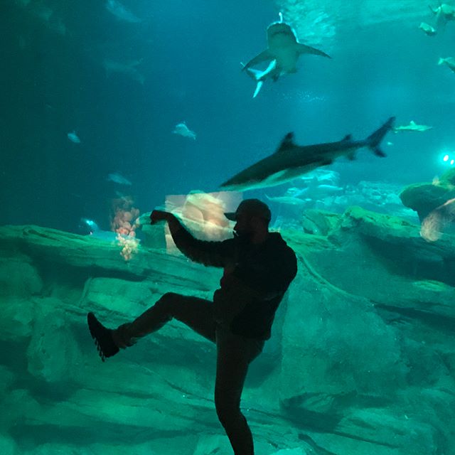 #tbt the usual shenanigans. Killing time during a storm at the aquarium in Paris #paris #france #aquarium #fish #rainydays #ninja