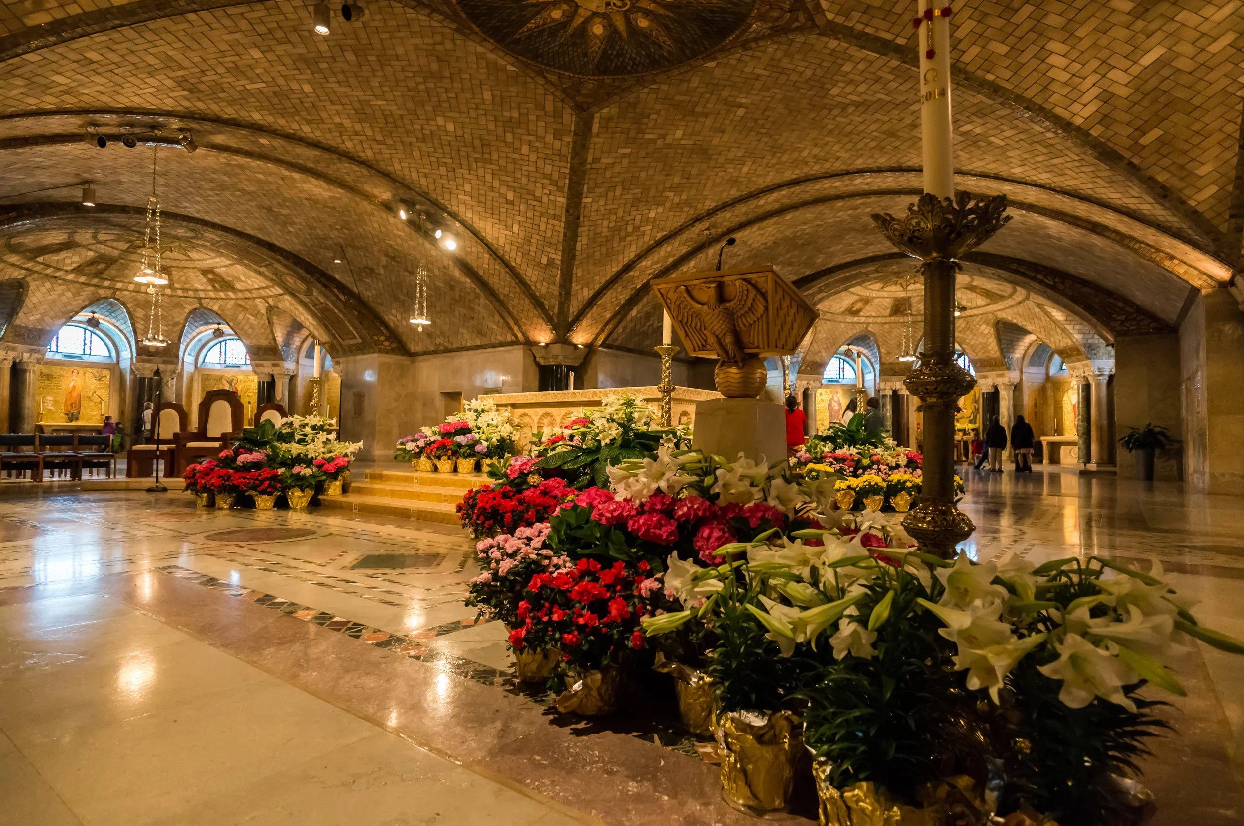 DSC07565-6.jpg