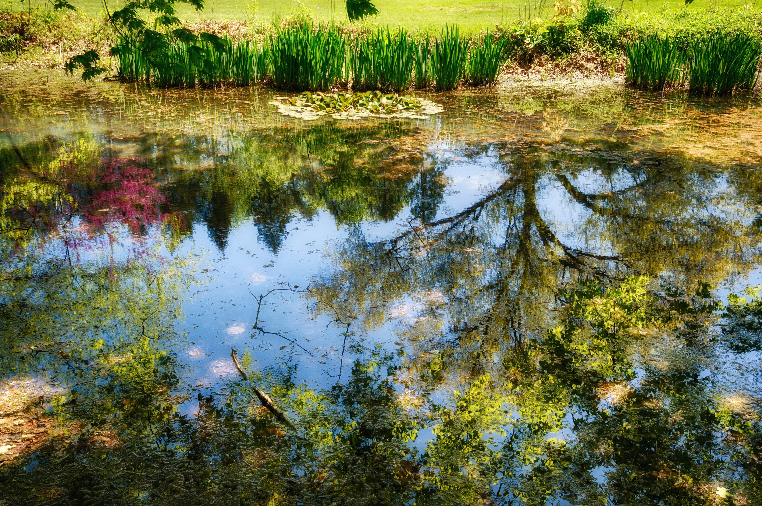DSC02633_HDR-Edit-8.jpg