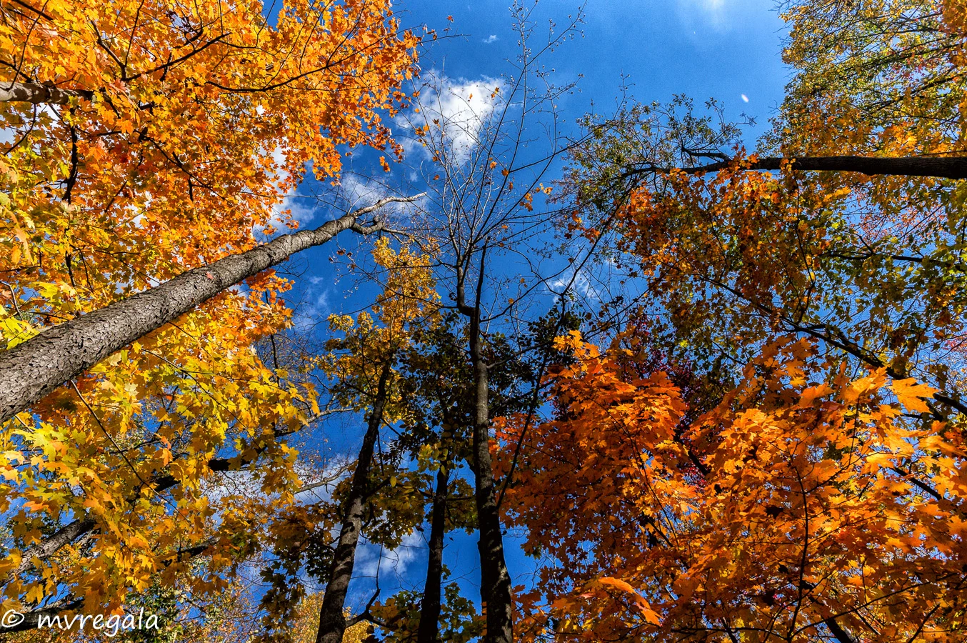 DSC06754-Edit-2-6.jpg