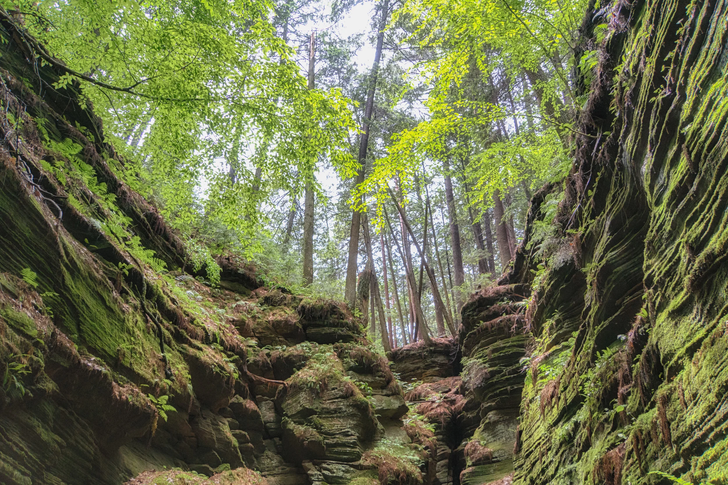 Witches Gulch-5.jpg