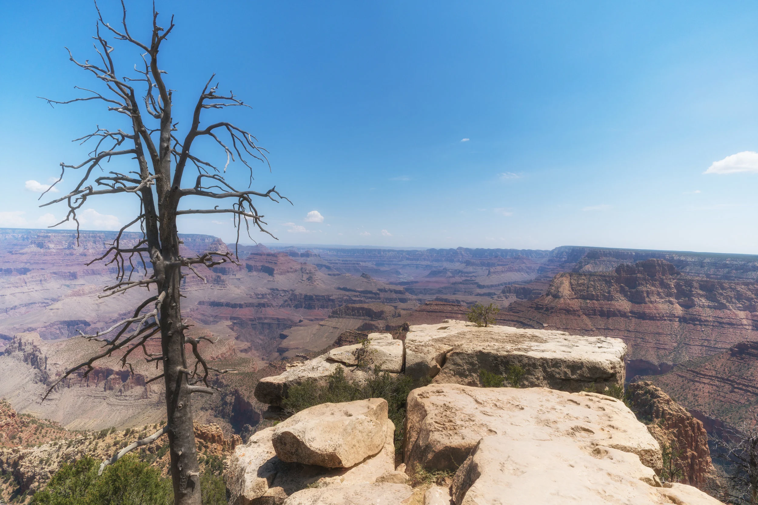 Grand Canyon 2nd batch-14.jpg